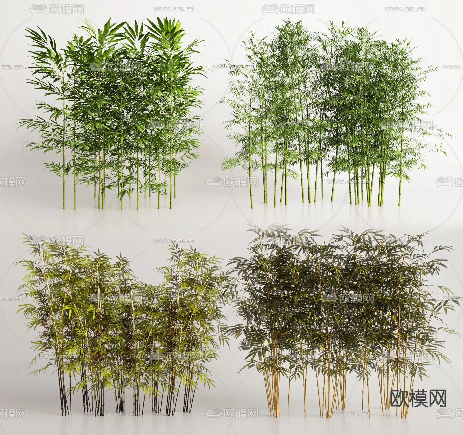 Plants and Flower – 3D Modesl – 0075