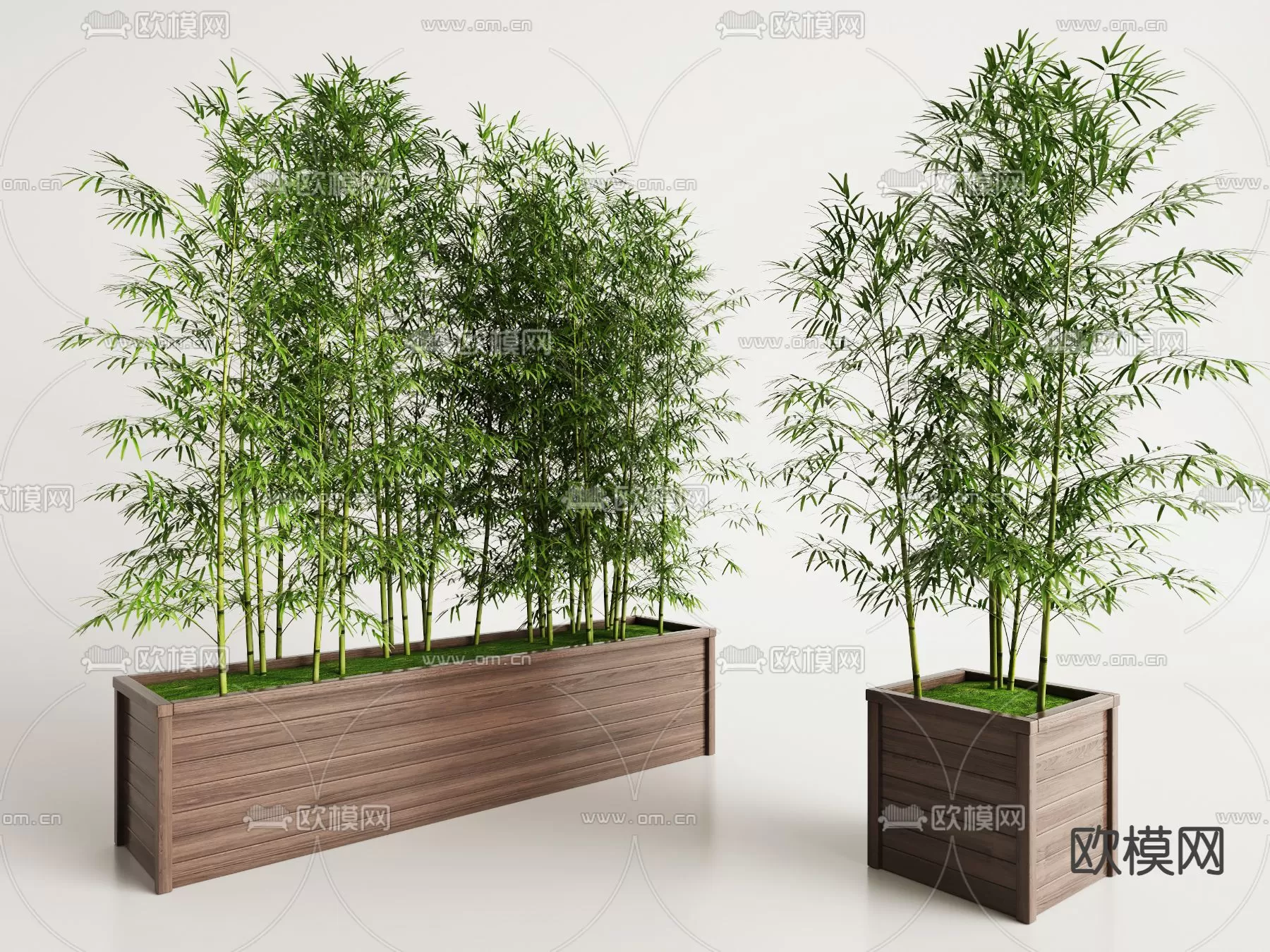 Plants and Flower – 3D Modesl – 0077