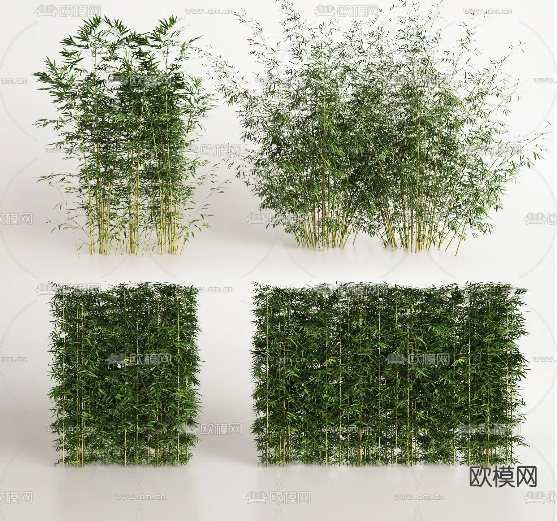 Plants and Flower – 3D Modesl – 0078