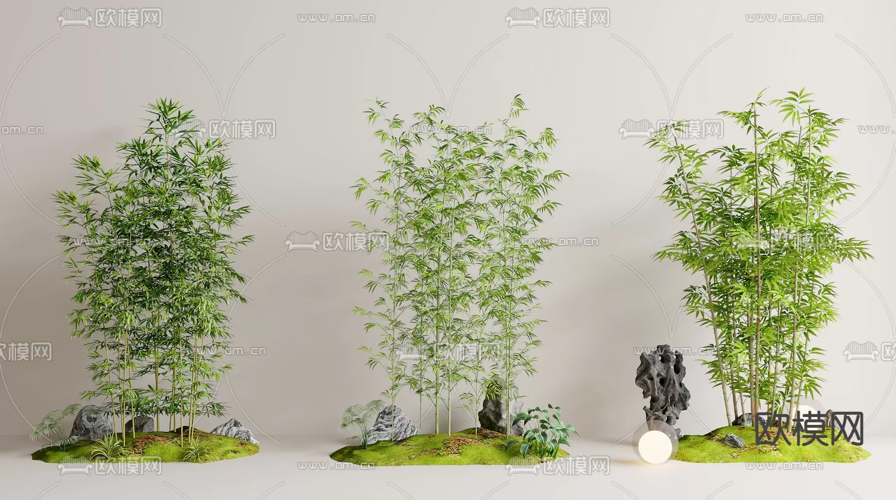 Plants and Flower – 3D Modesl – 0080