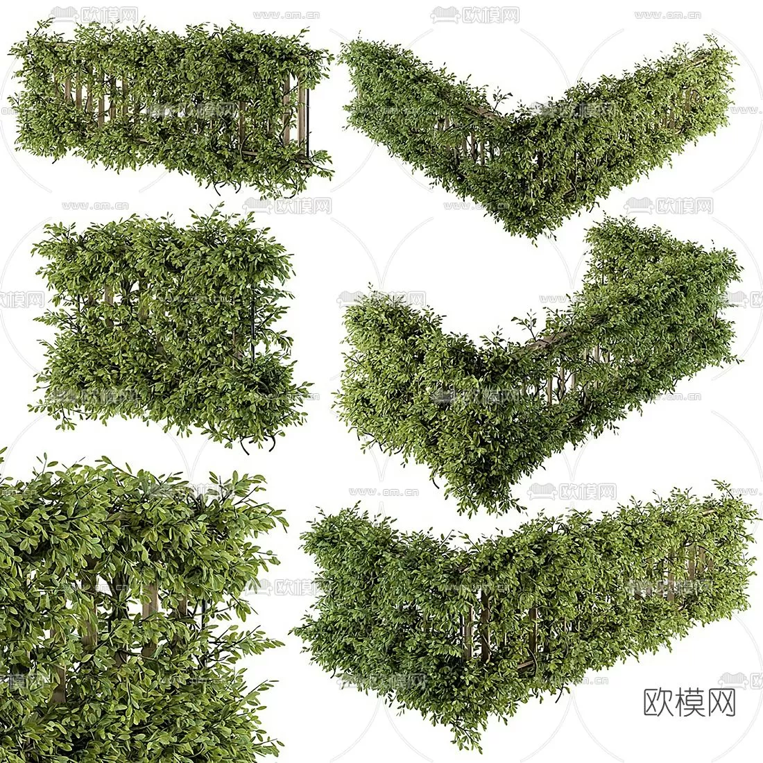 Plants and Flower – 3D Modesl – 0081