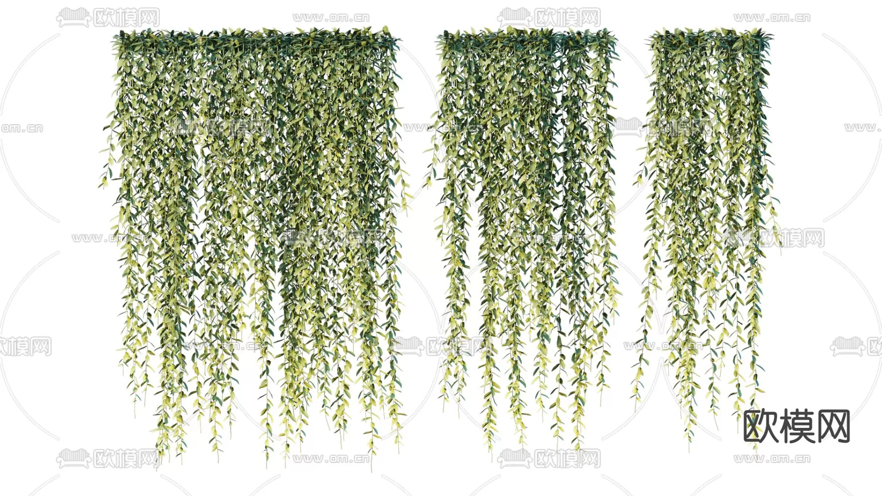 Plants and Flower – 3D Modesl – 0082