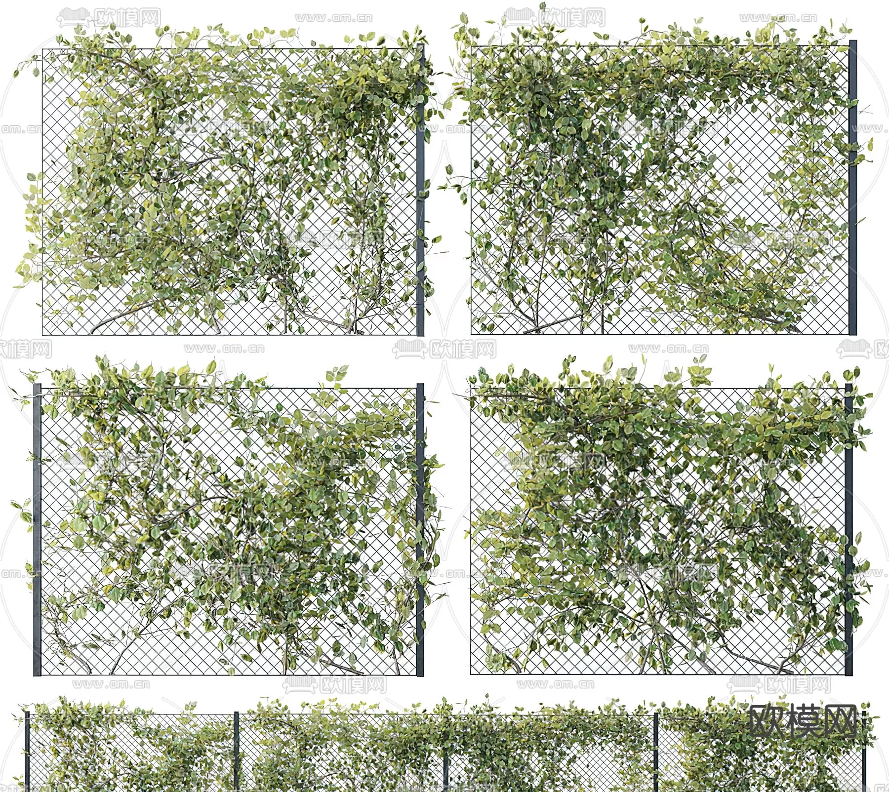 Plants and Flower – 3D Modesl – 0085