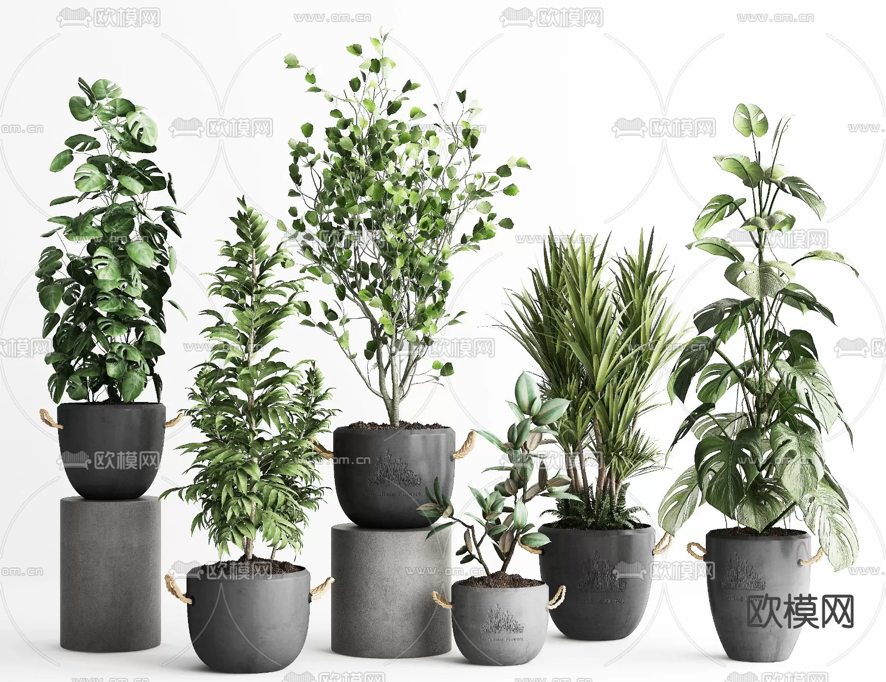 Plants and Flower – 3D Modesl – 0088