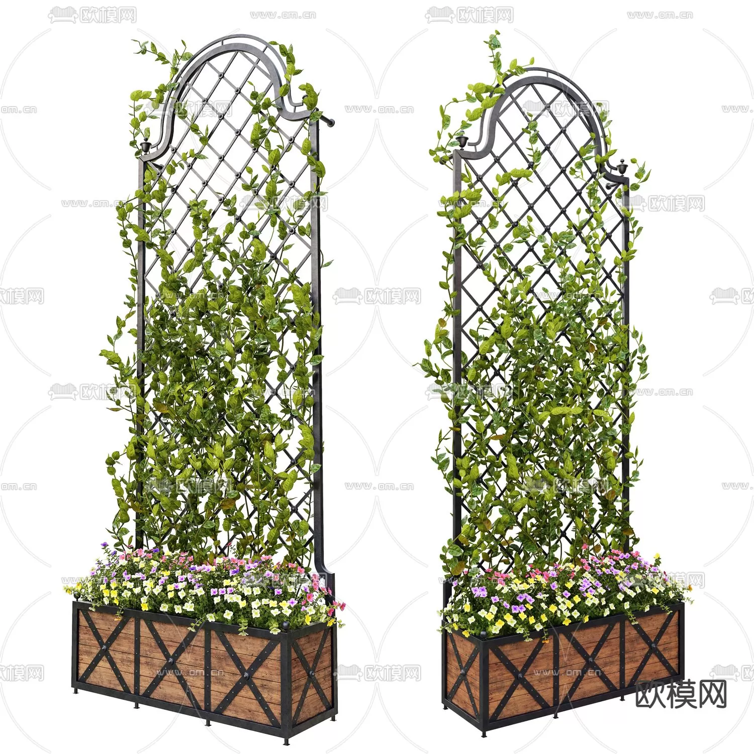 Plants and Flower – 3D Modesl – 0089