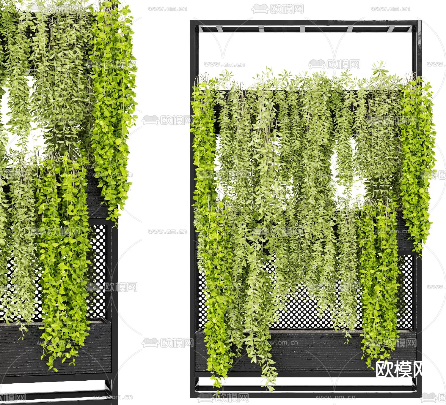 Plants and Flower – 3D Modesl – 0091