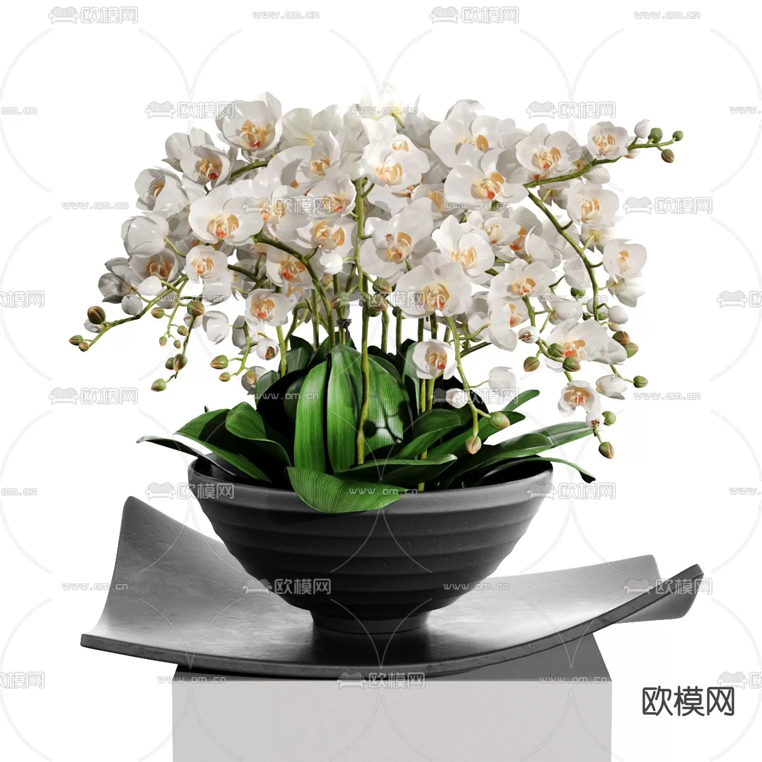 Plants and Flower – 3D Modesl – 0093