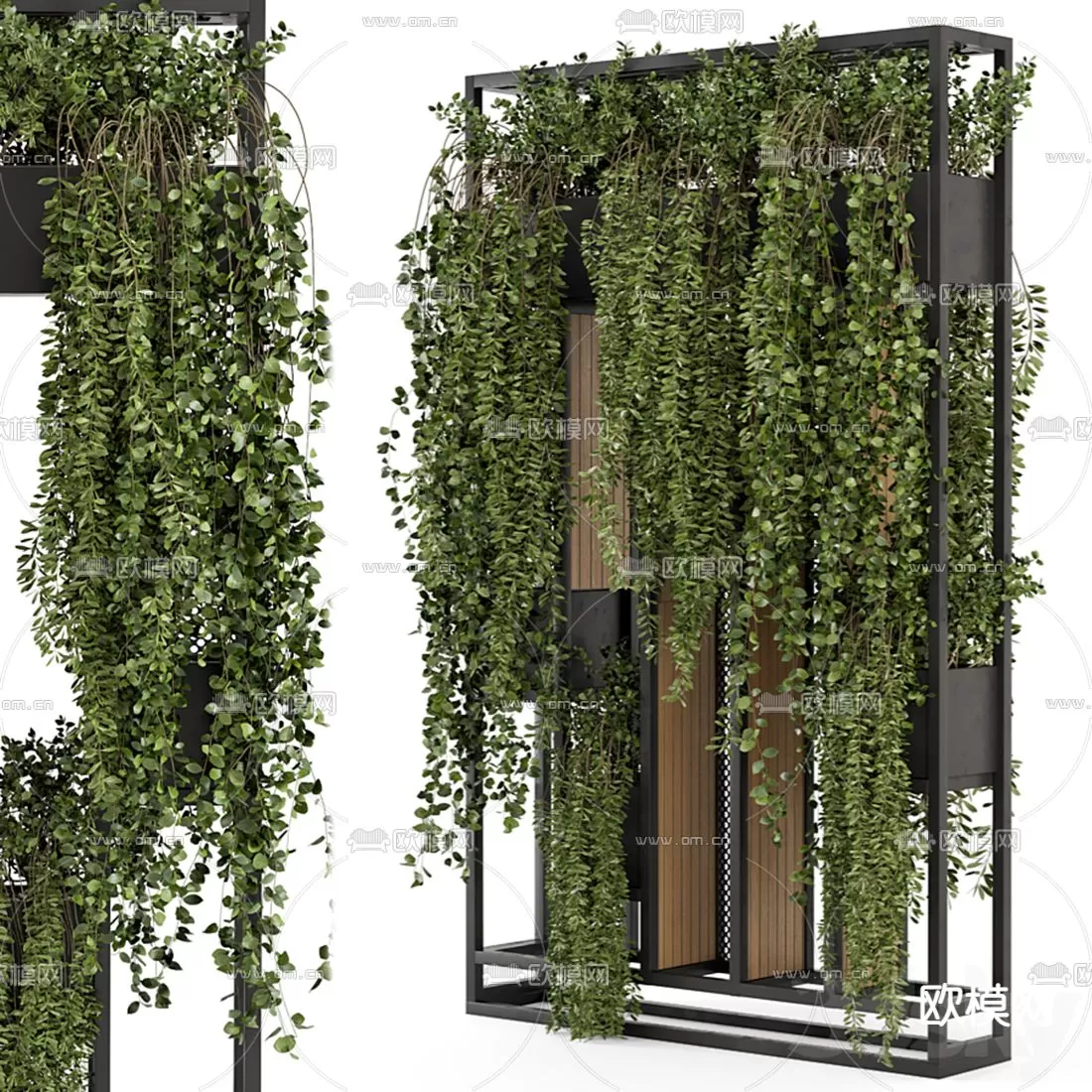 Plants and Flower – 3D Modesl – 0094