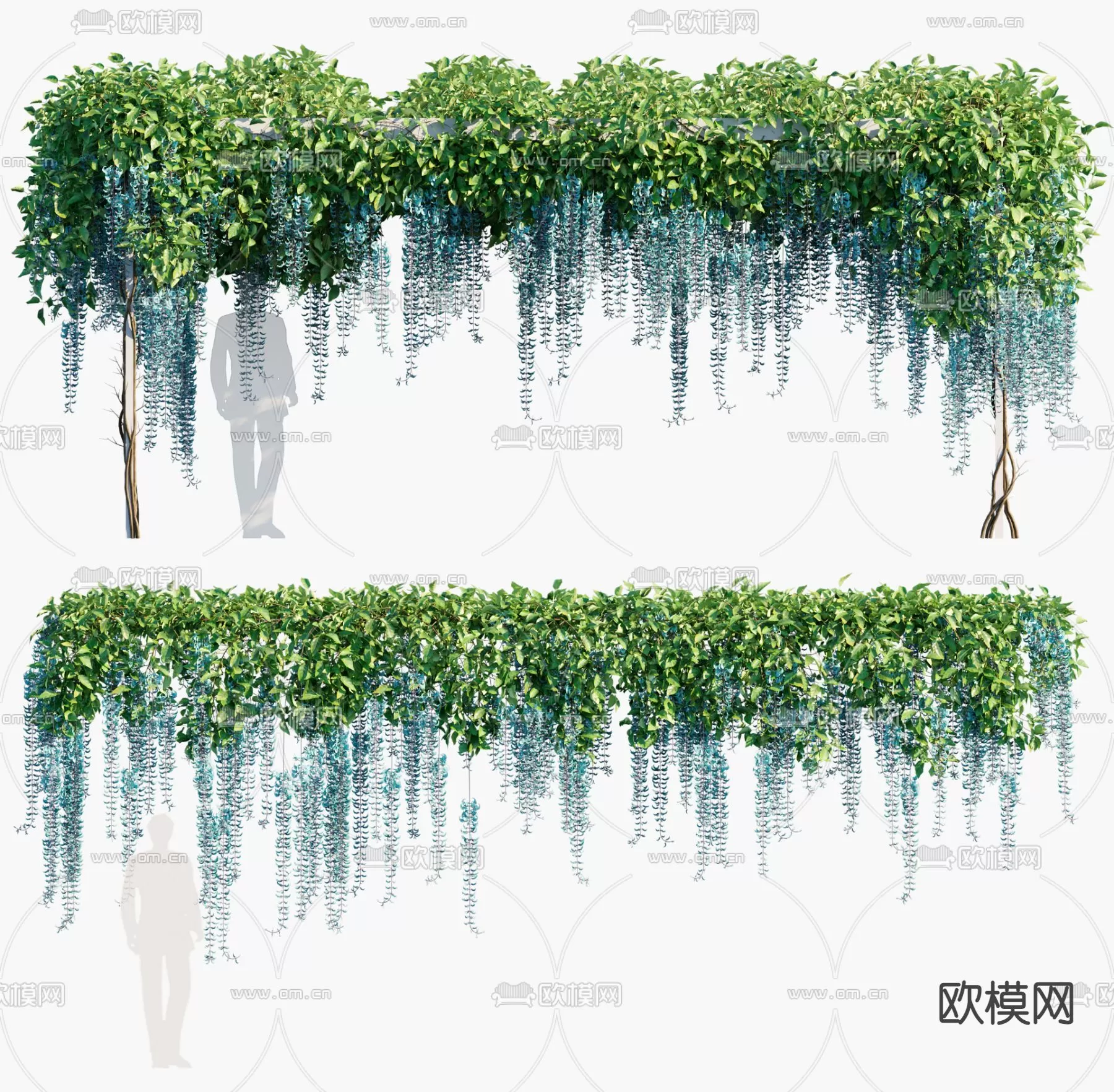 Plants and Flower – 3D Modesl – 0096