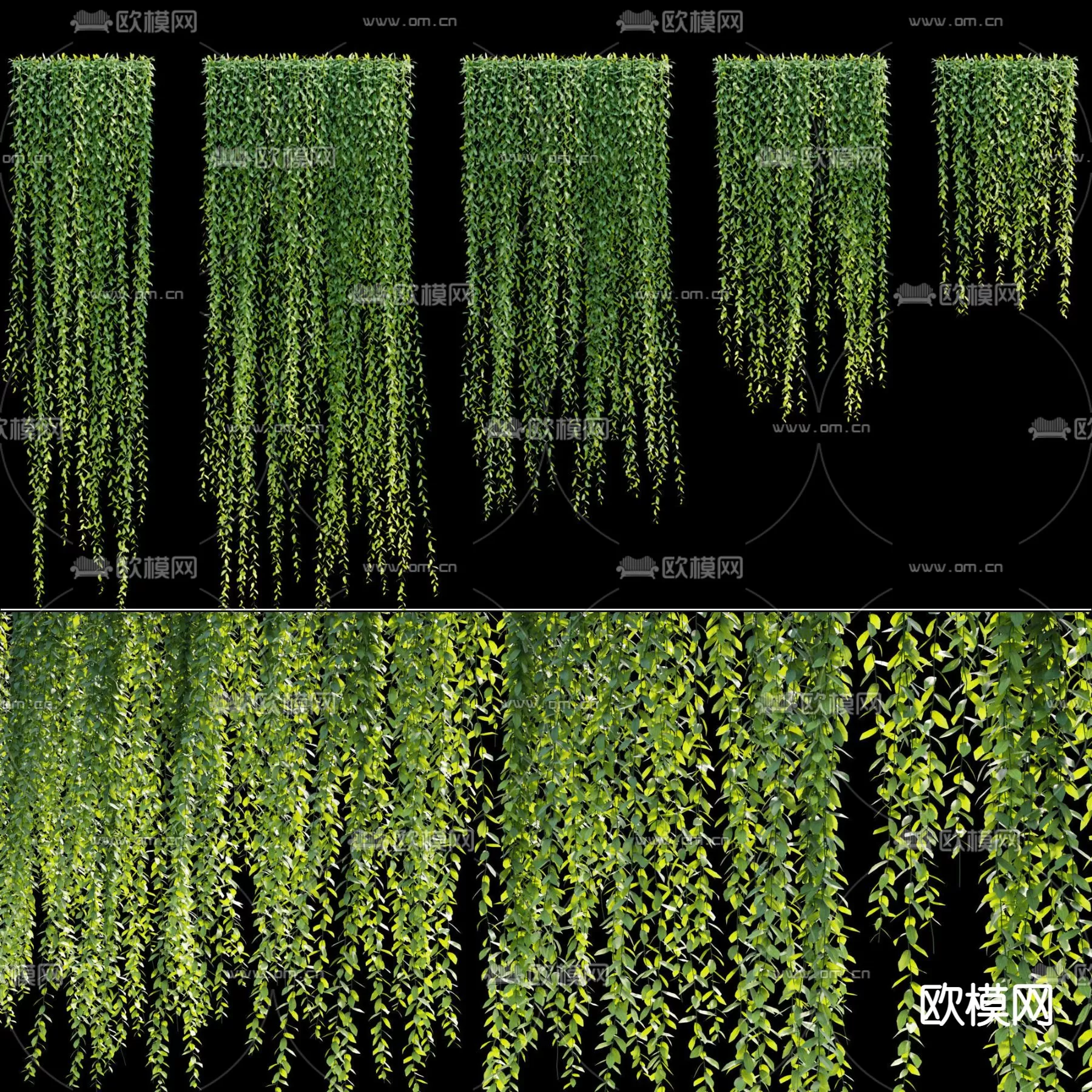 Plants and Flower – 3D Modesl – 0099