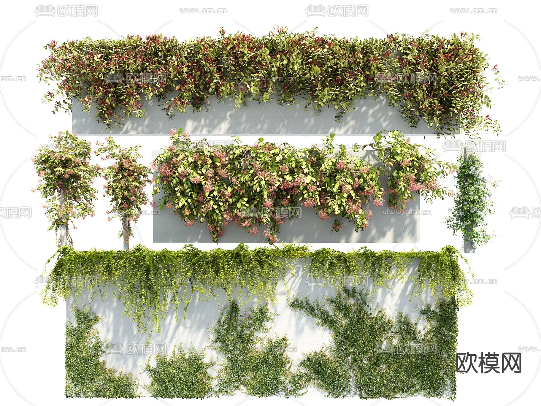 Plants and Flower – 3D Modesl – 0103