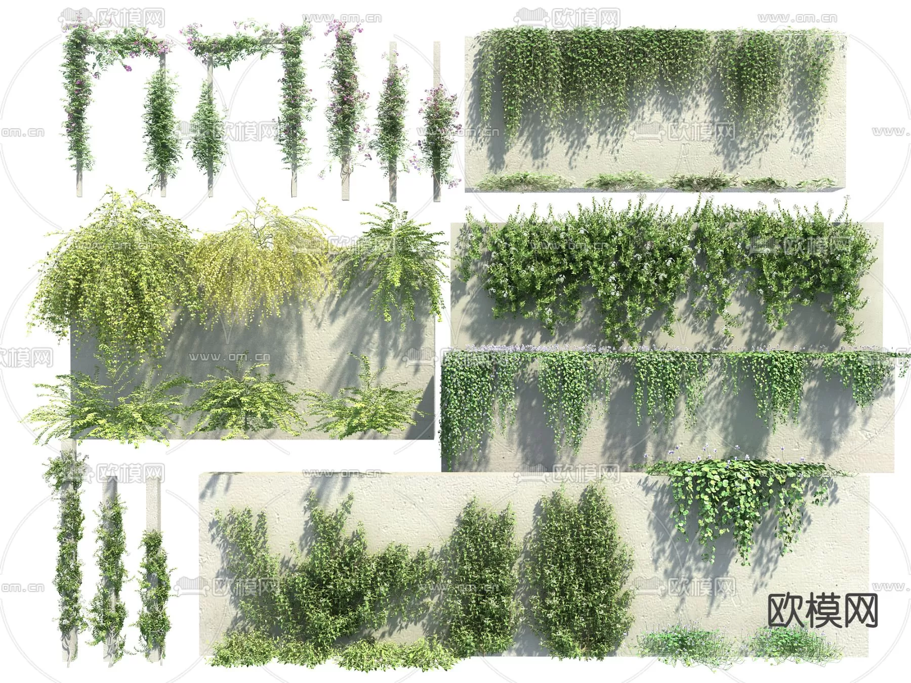 Plants and Flower – 3D Modesl – 0106