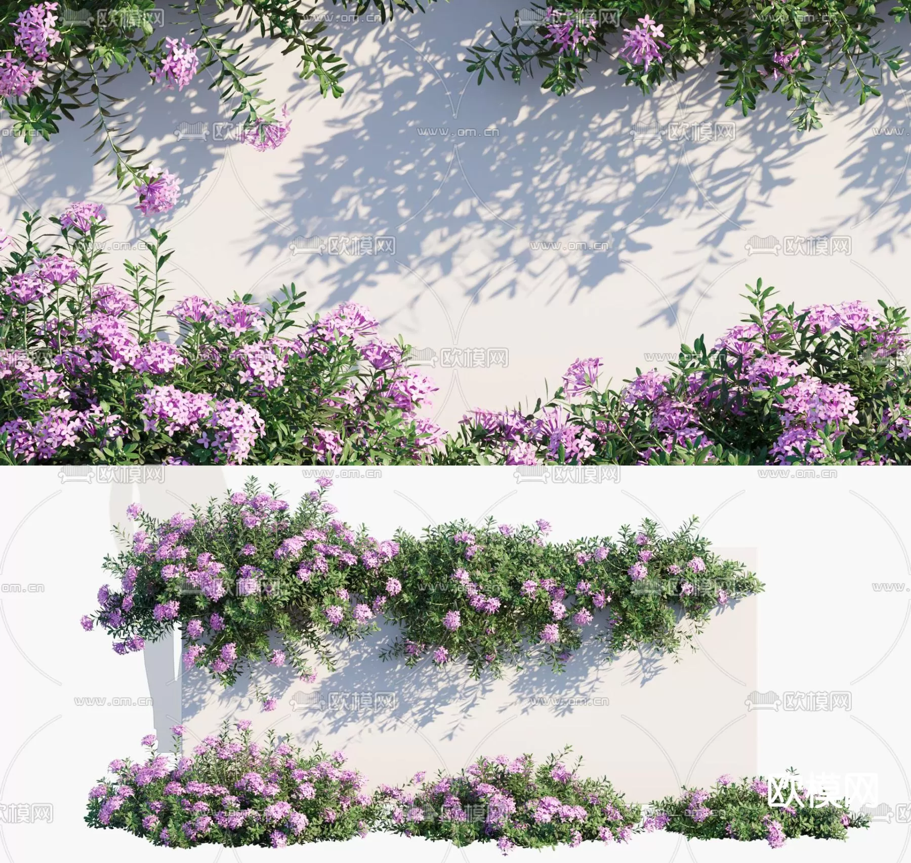 Plants and Flower – 3D Modesl – 0107