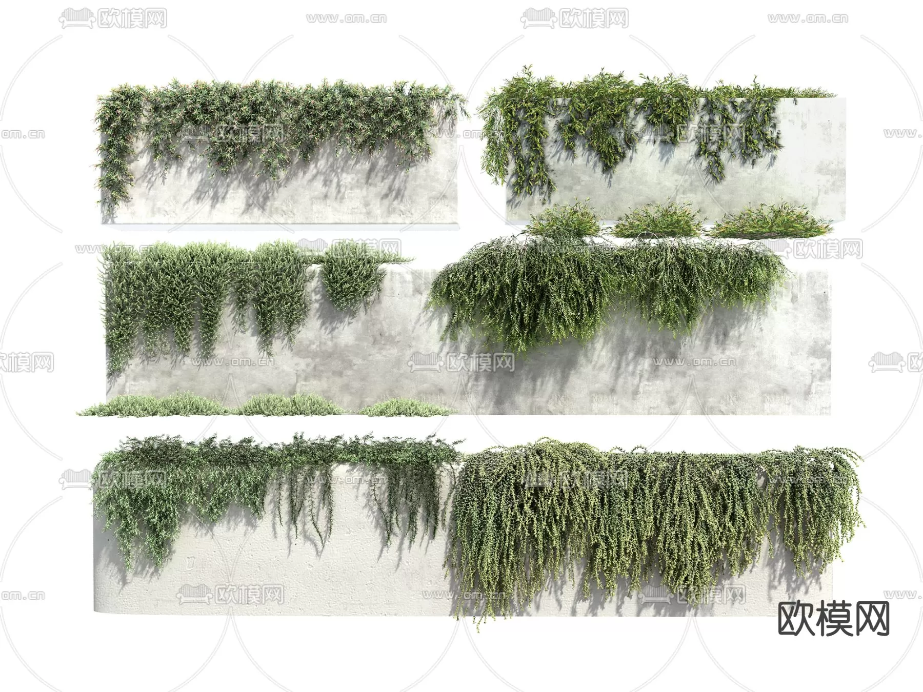 Plants and Flower – 3D Modesl – 0108