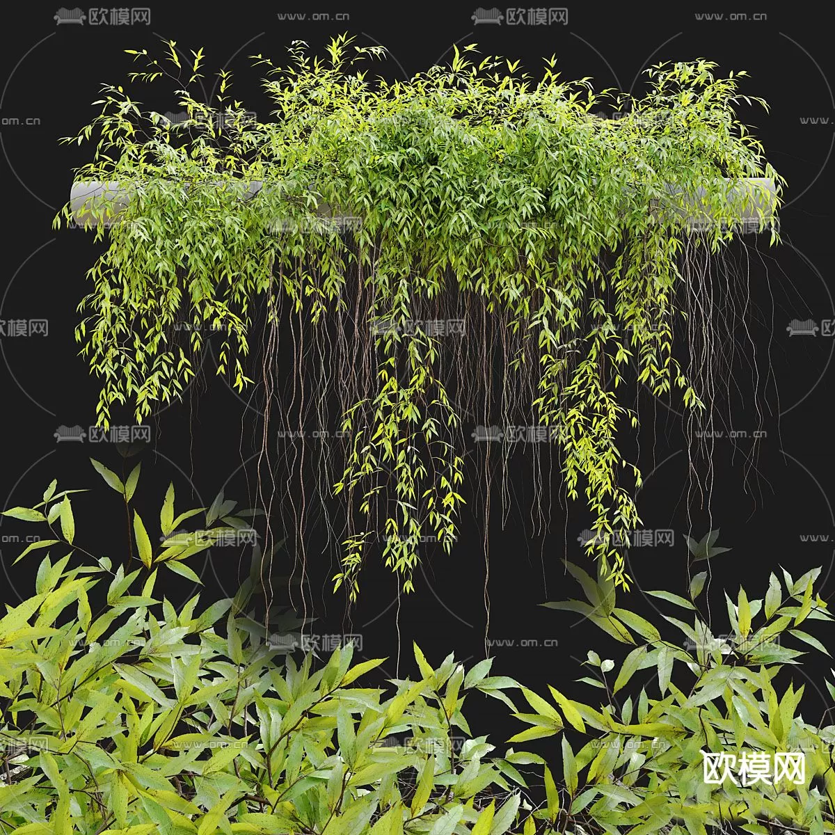 Plants and Flower – 3D Modesl – 0110