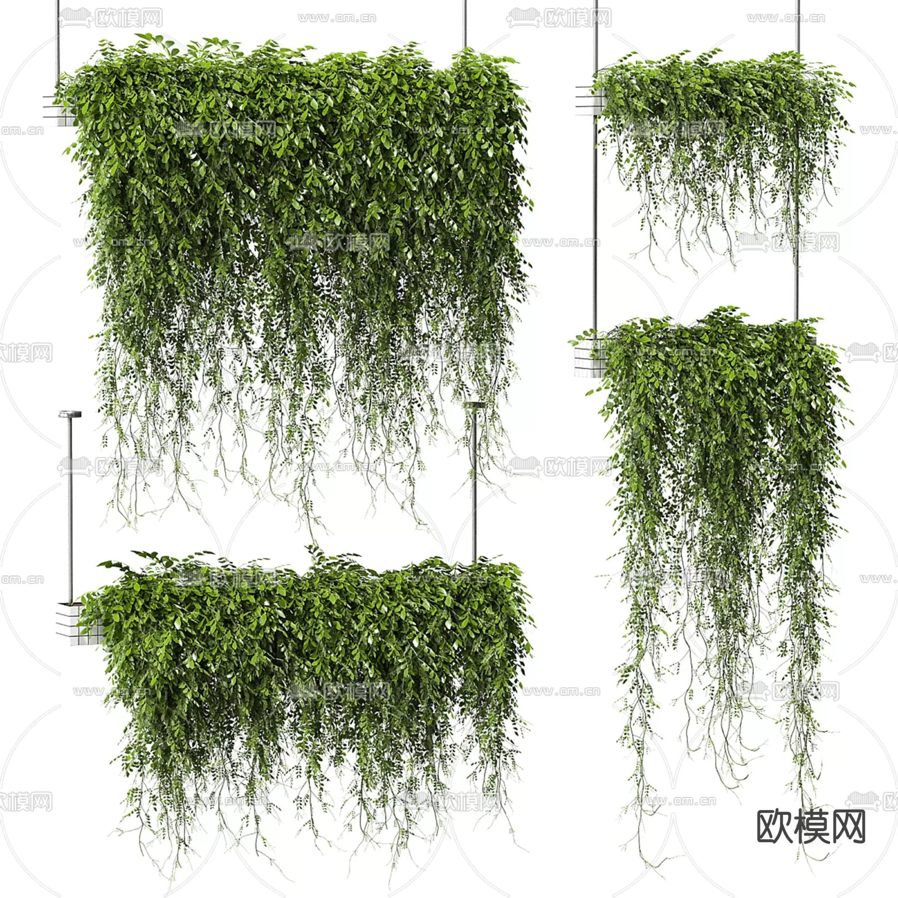 Plants and Flower – 3D Modesl – 0111