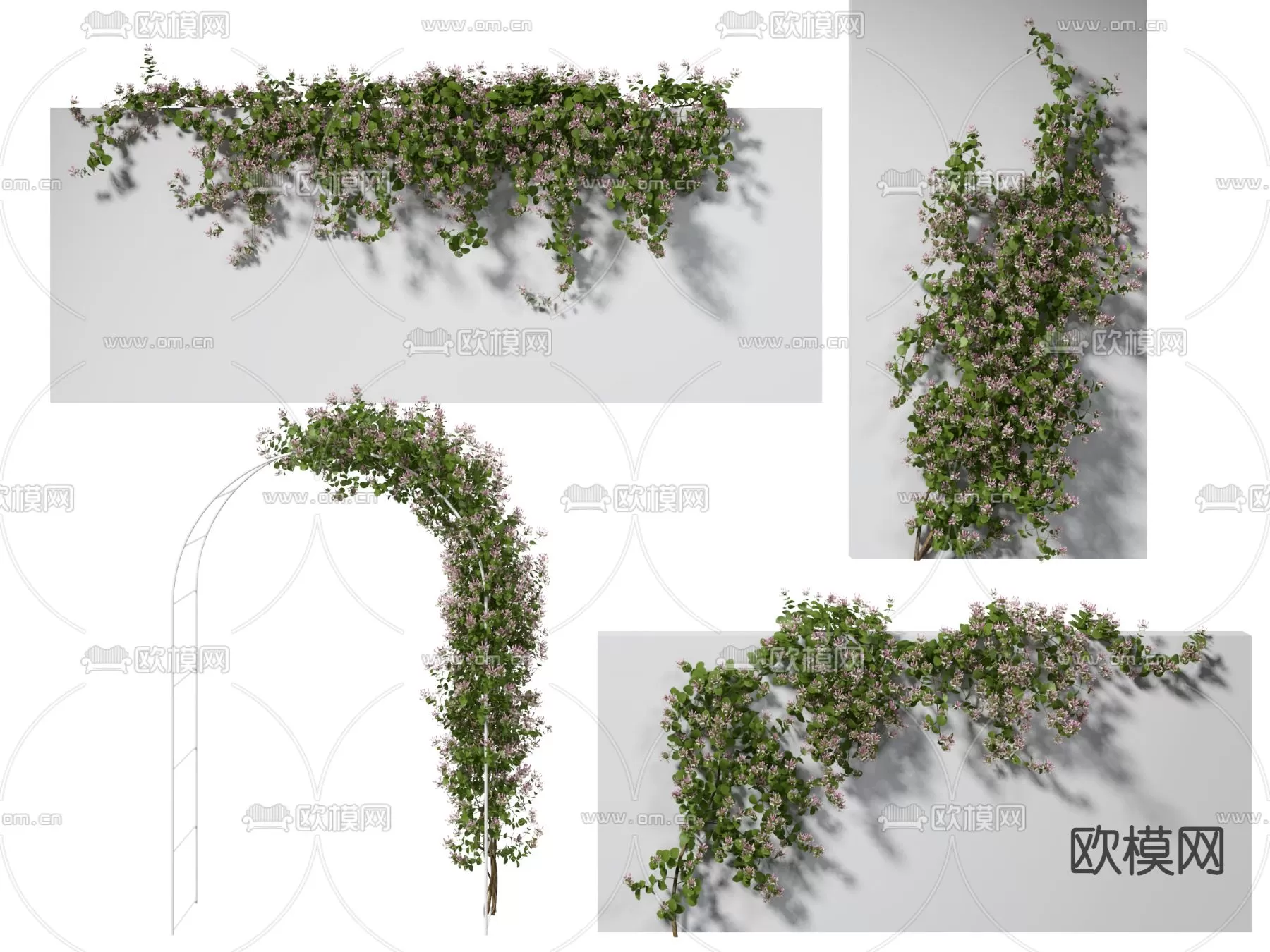 Plants and Flower – 3D Modesl – 0112