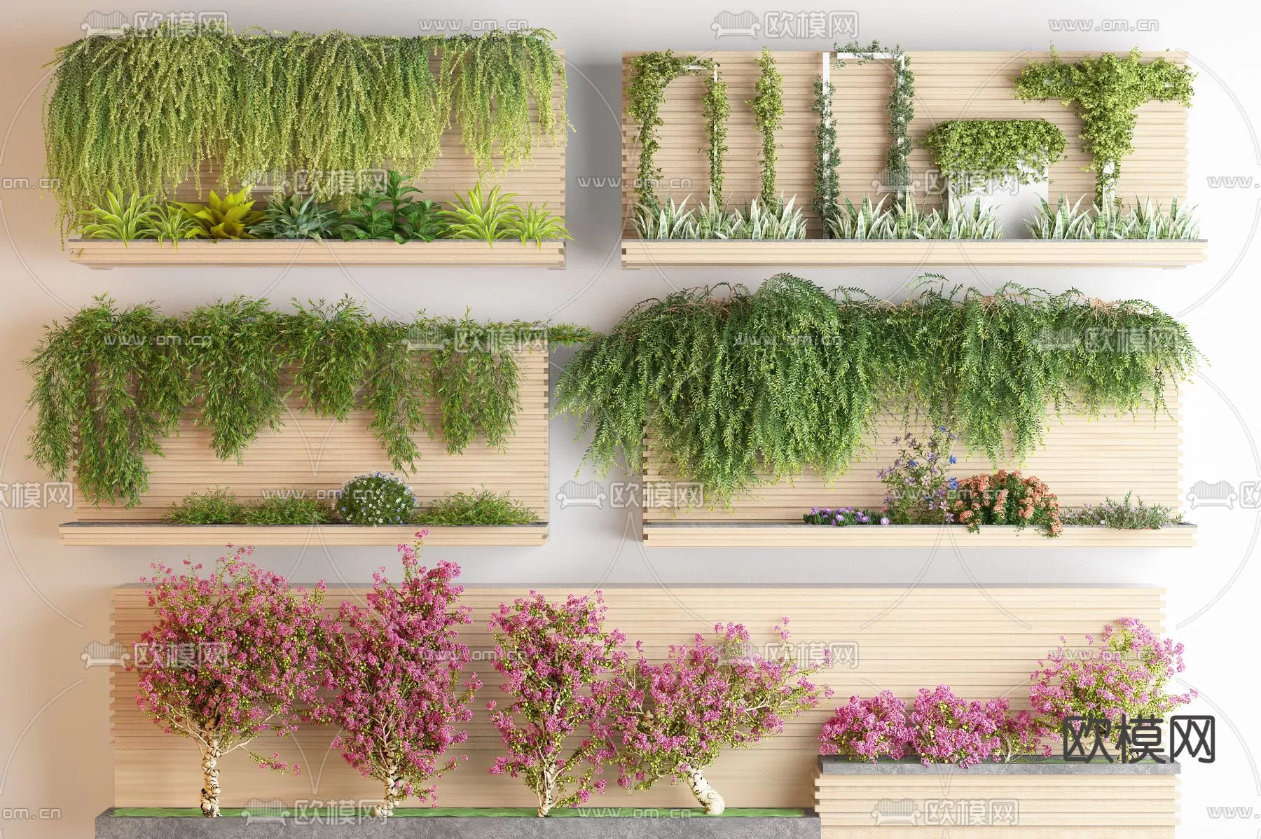 Plants and Flower – 3D Modesl – 0114