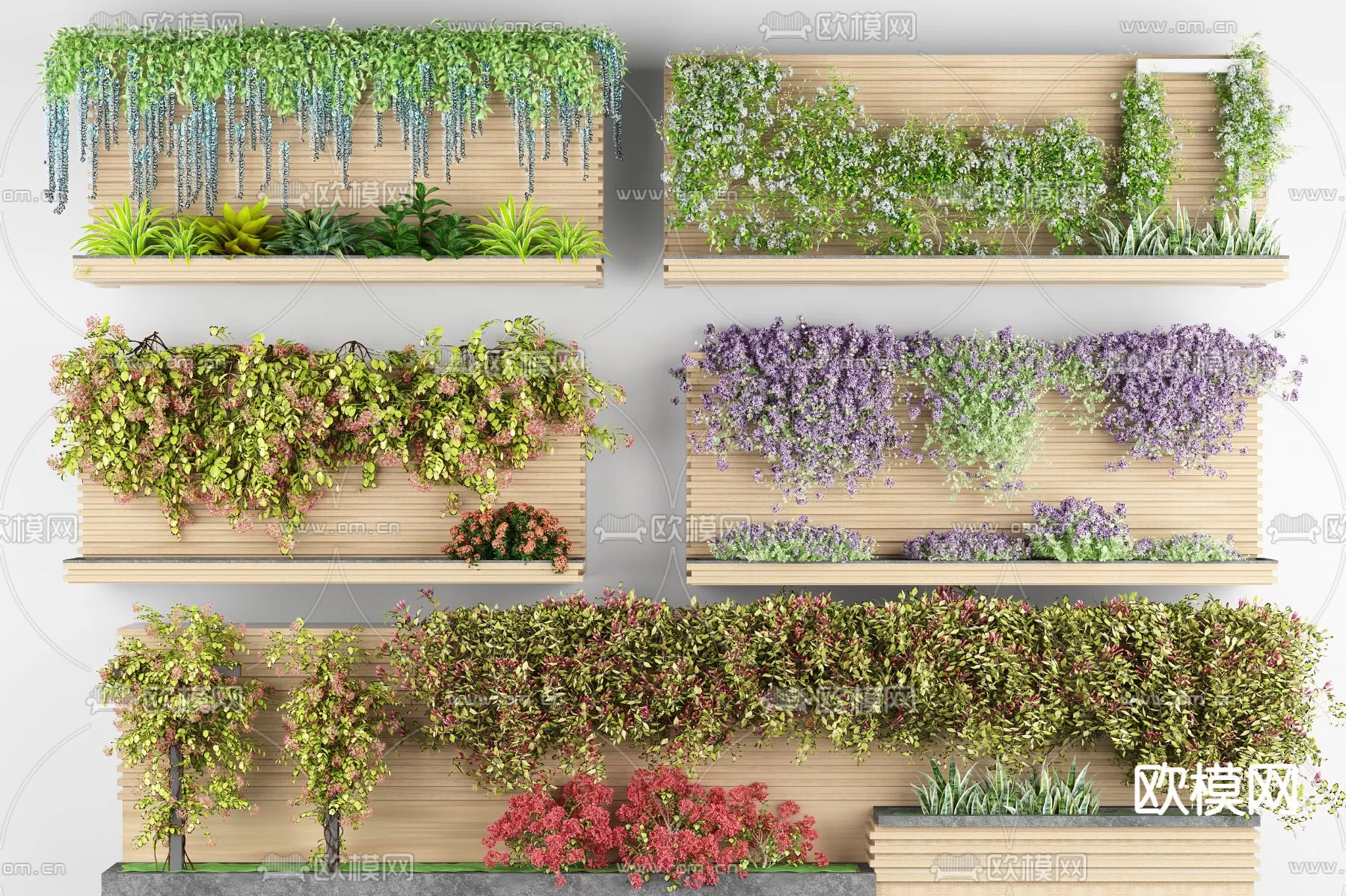 Plants and Flower – 3D Modesl – 0117