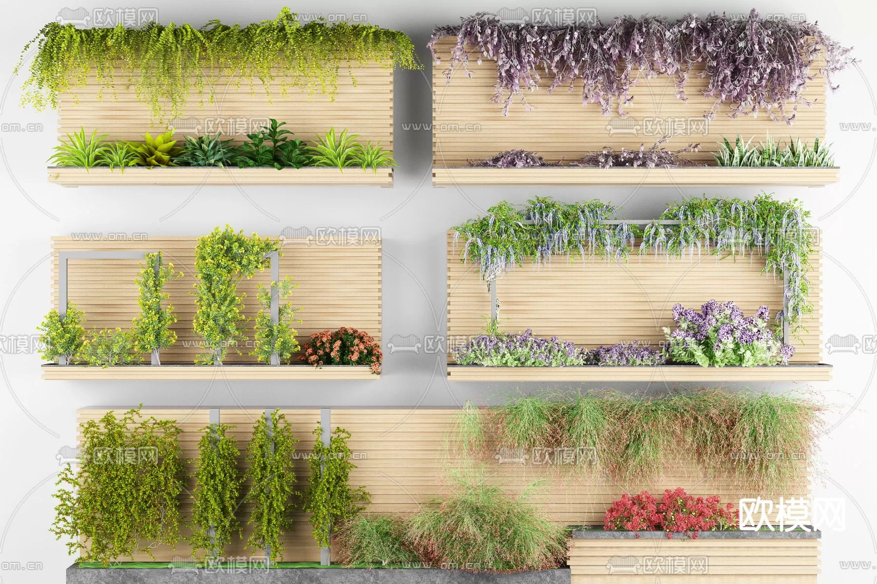 Plants and Flower – 3D Modesl – 0118