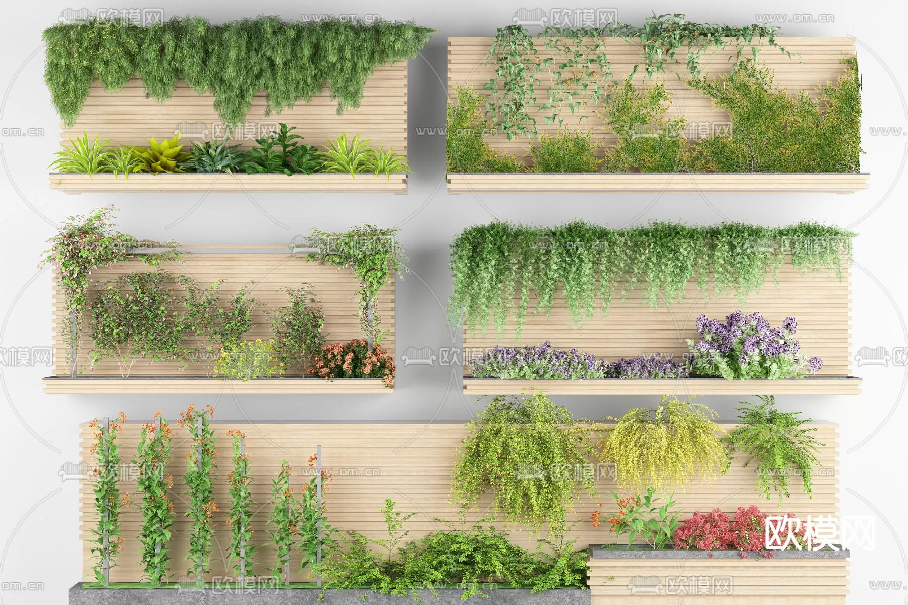 Plants and Flower – 3D Modesl – 0119