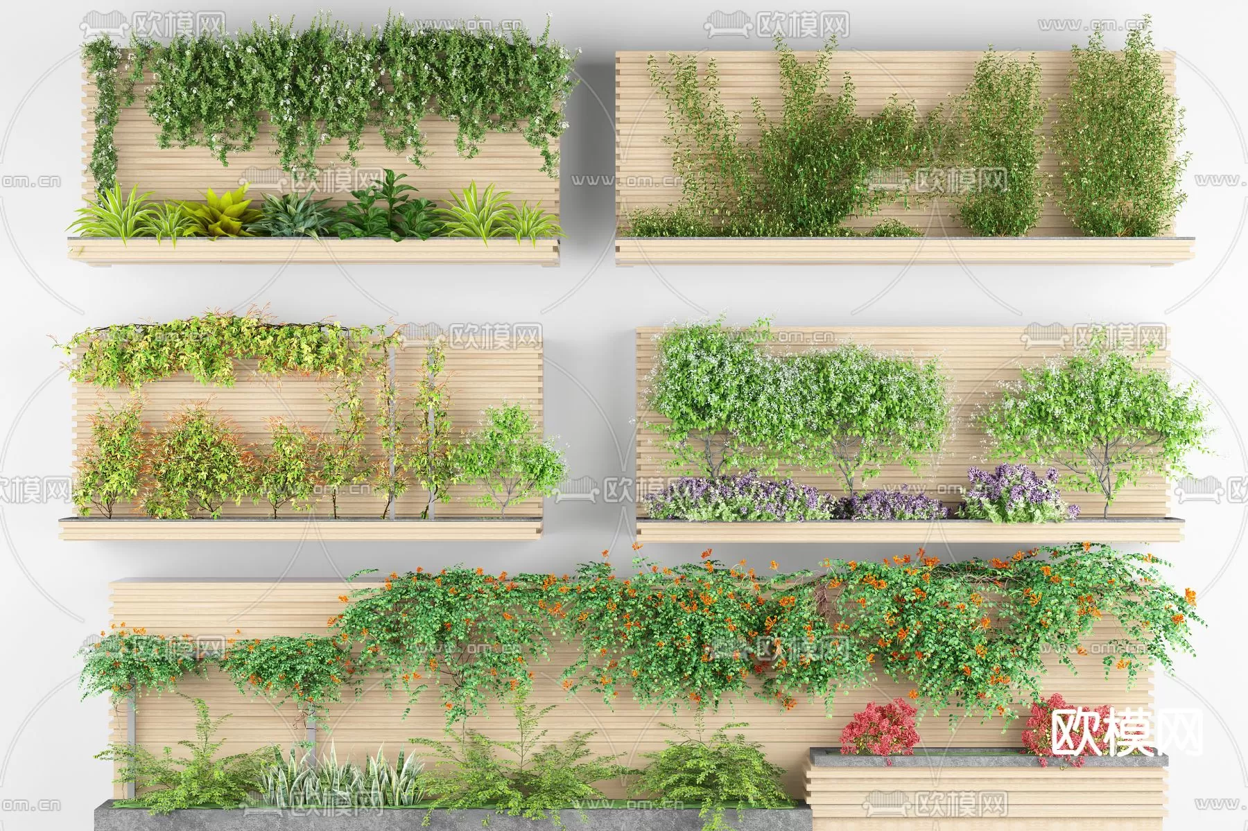 Plants and Flower – 3D Modesl – 0120