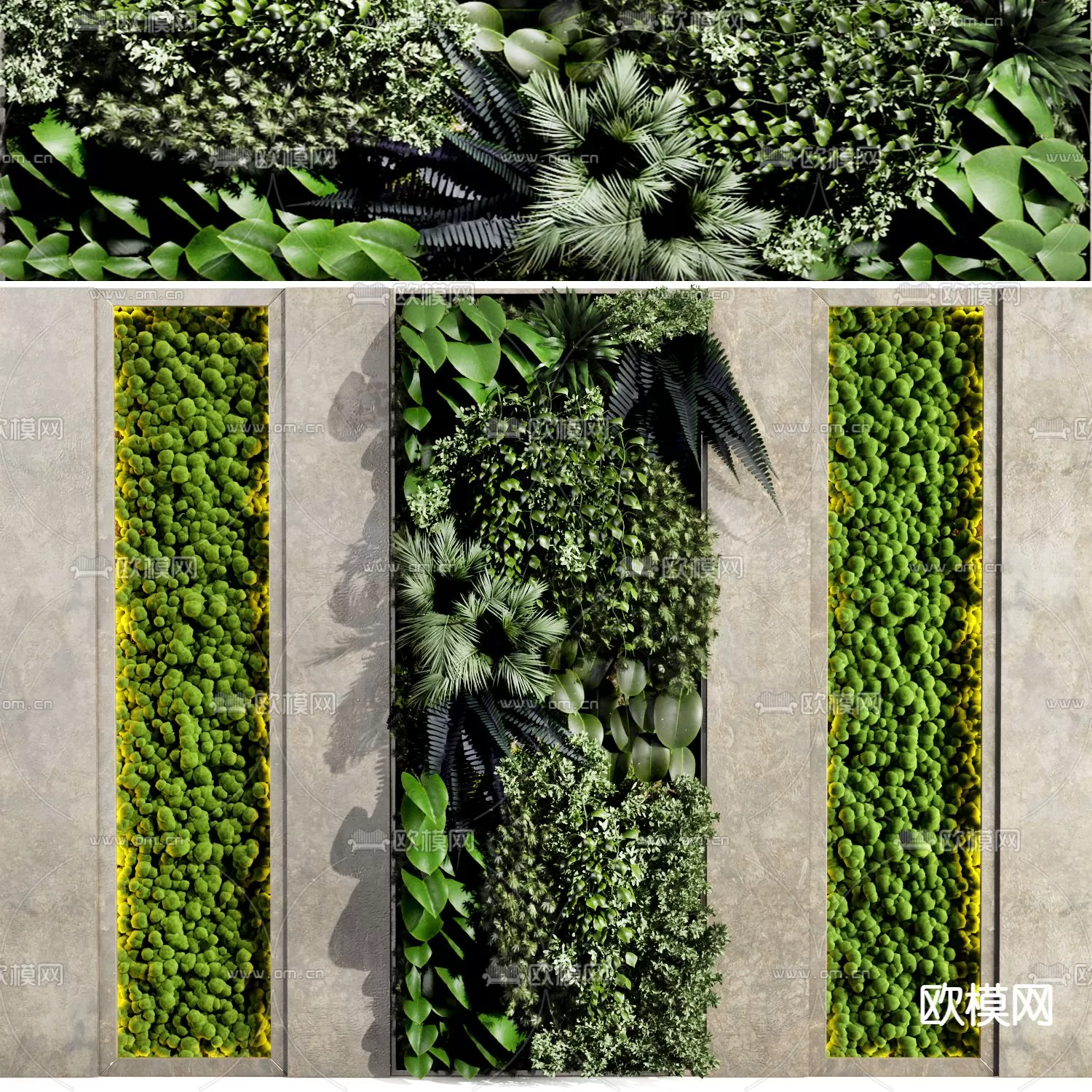 Plants and Flower – 3D Modesl – 0124