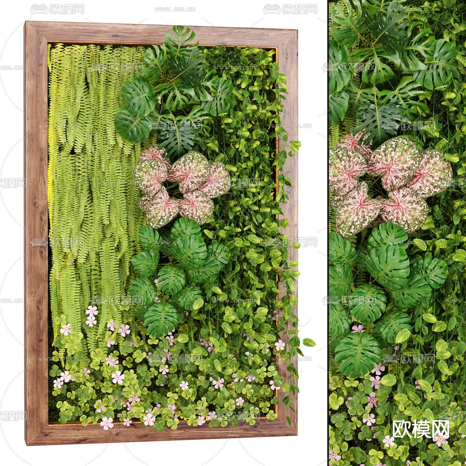 Plants and Flower – 3D Modesl – 0125