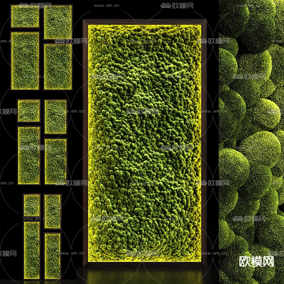 Plants and Flower – 3D Modesl – 0129