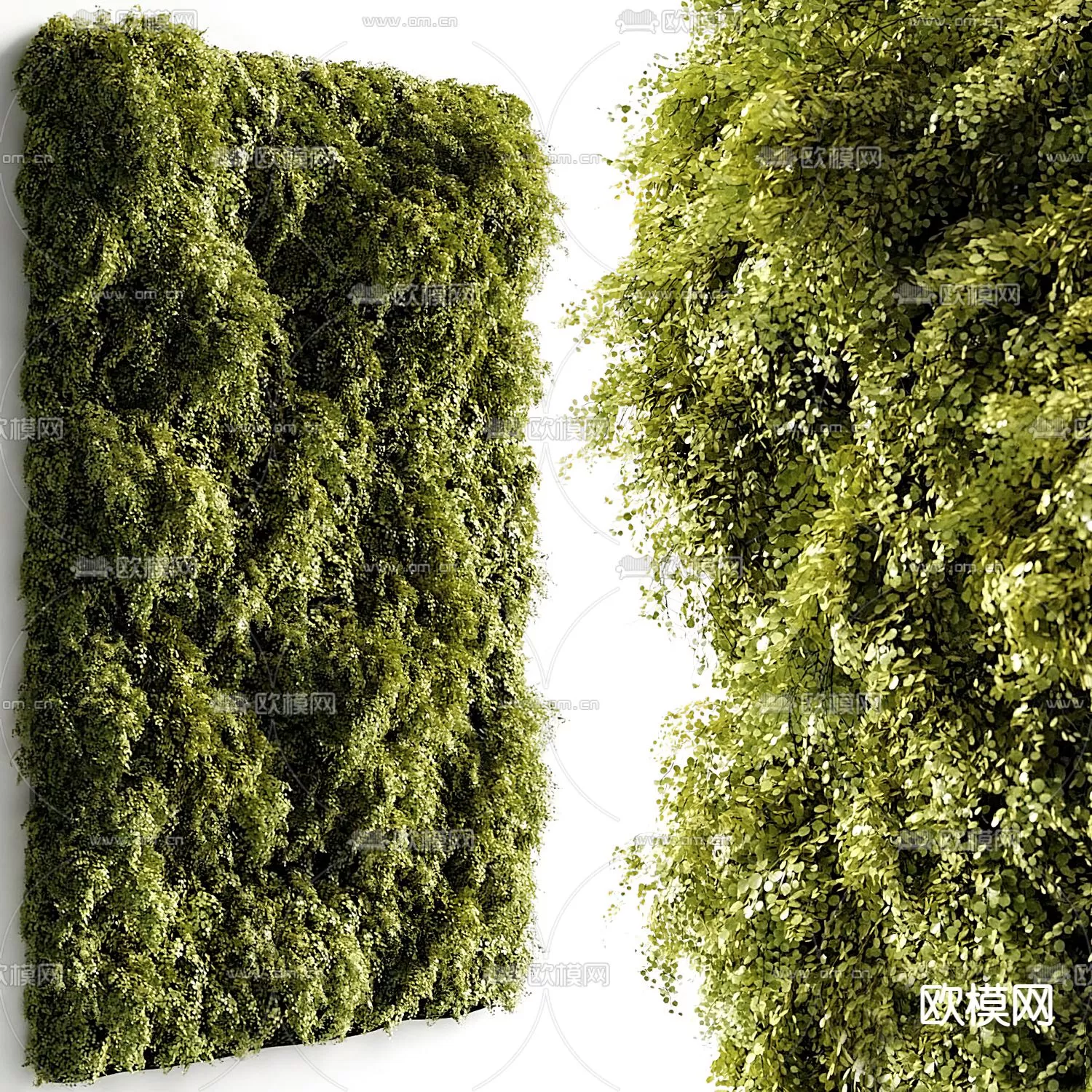 Plants and Flower – 3D Modesl – 0133