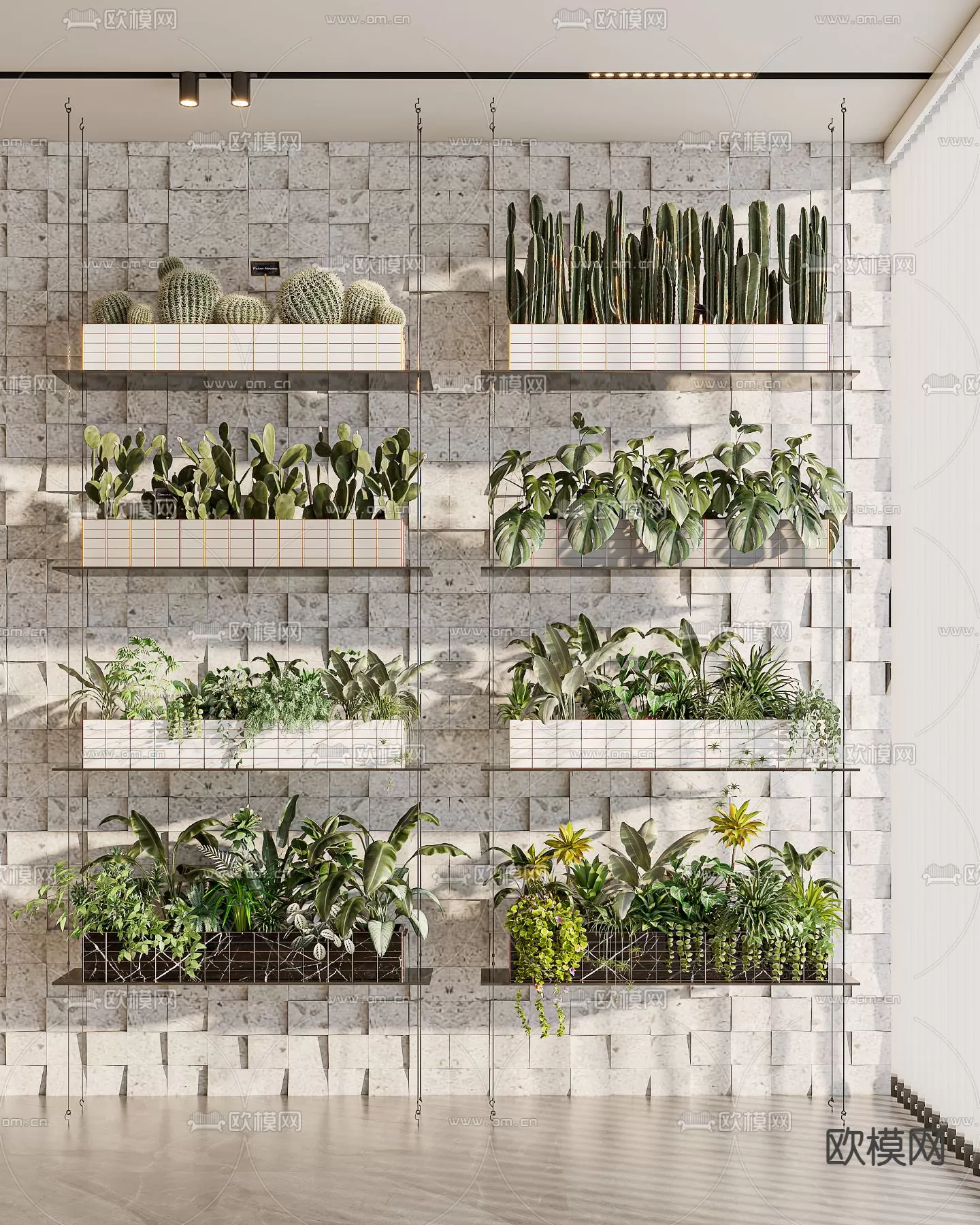 Plants and Flower – 3D Modesl – 0134