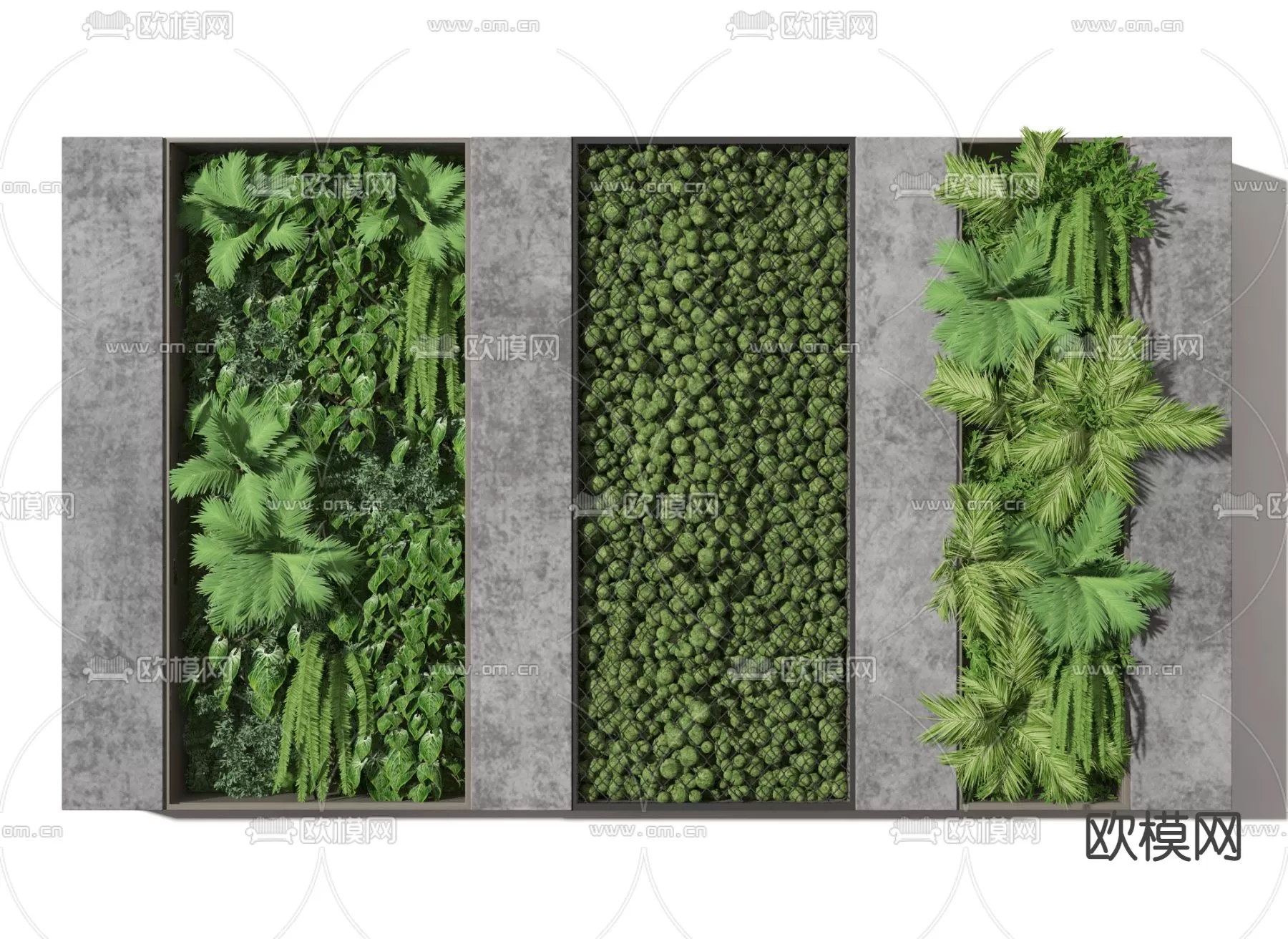 Plants and Flower – 3D Modesl – 0139