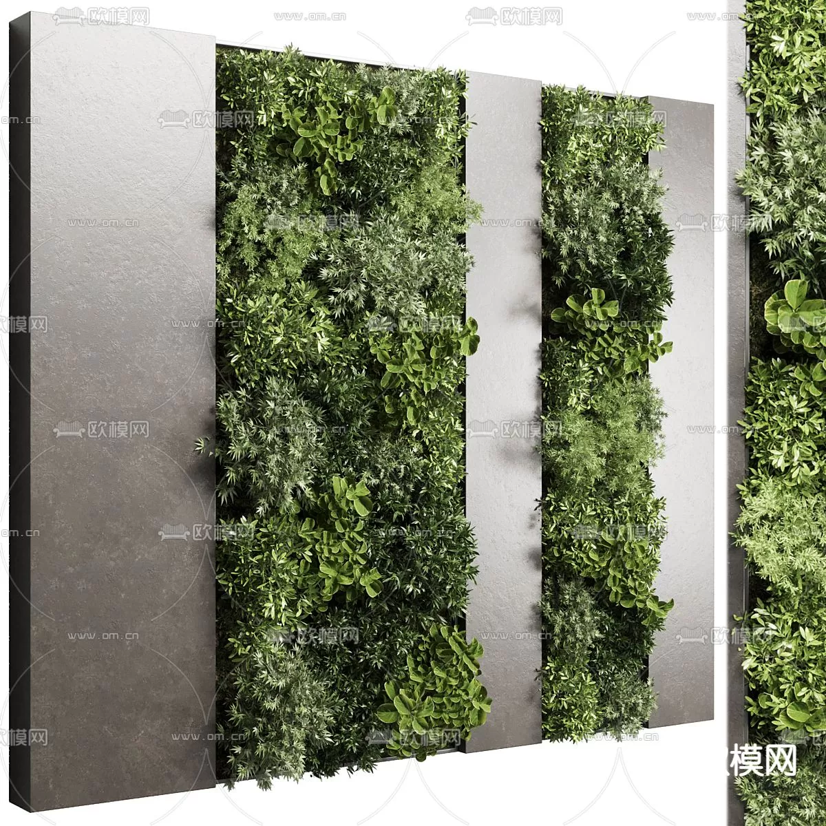 Plants and Flower – 3D Modesl – 0141