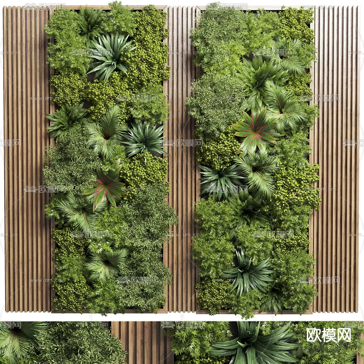 Plants and Flower – 3D Modesl – 0142