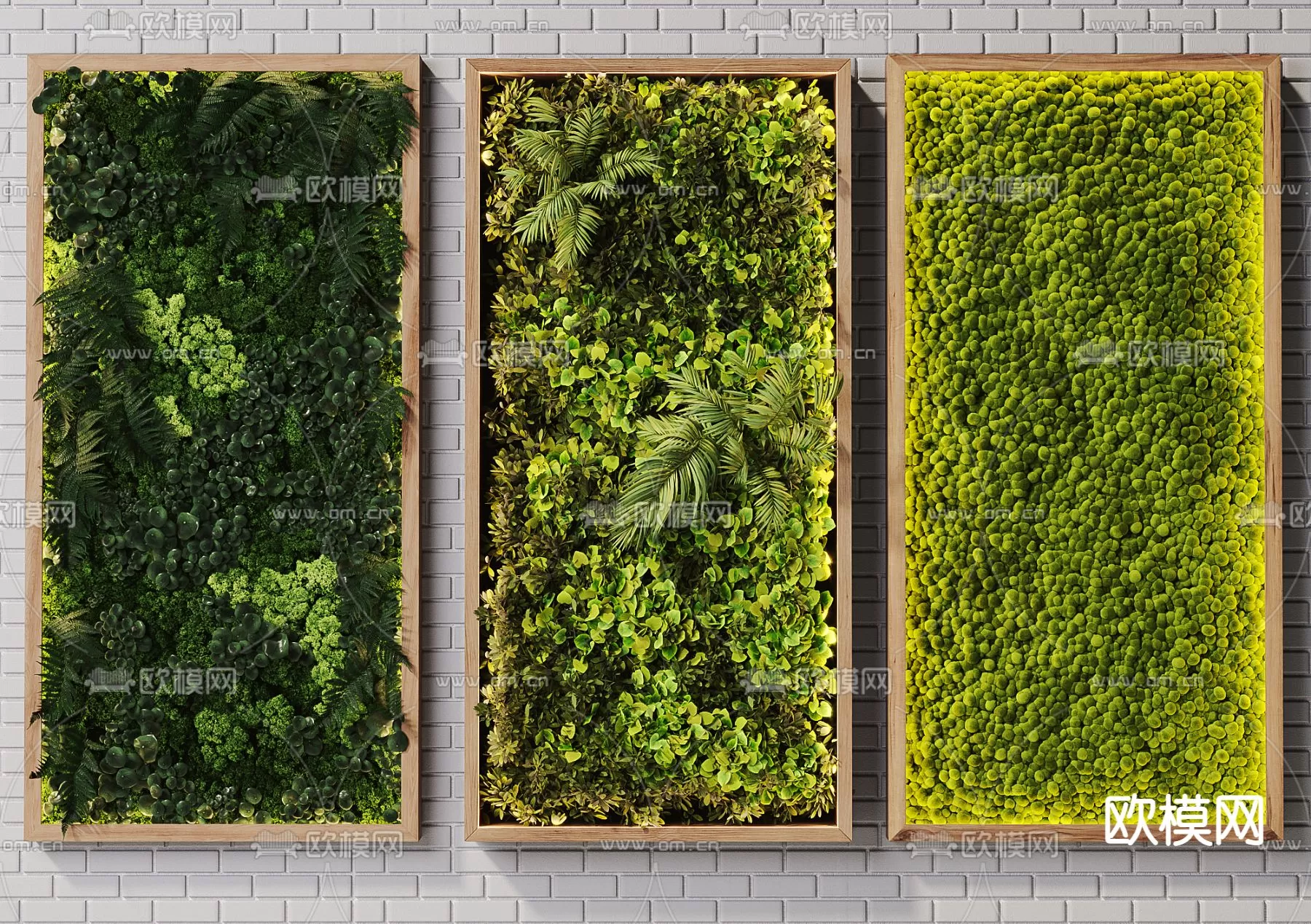 Plants and Flower – 3D Modesl – 0154