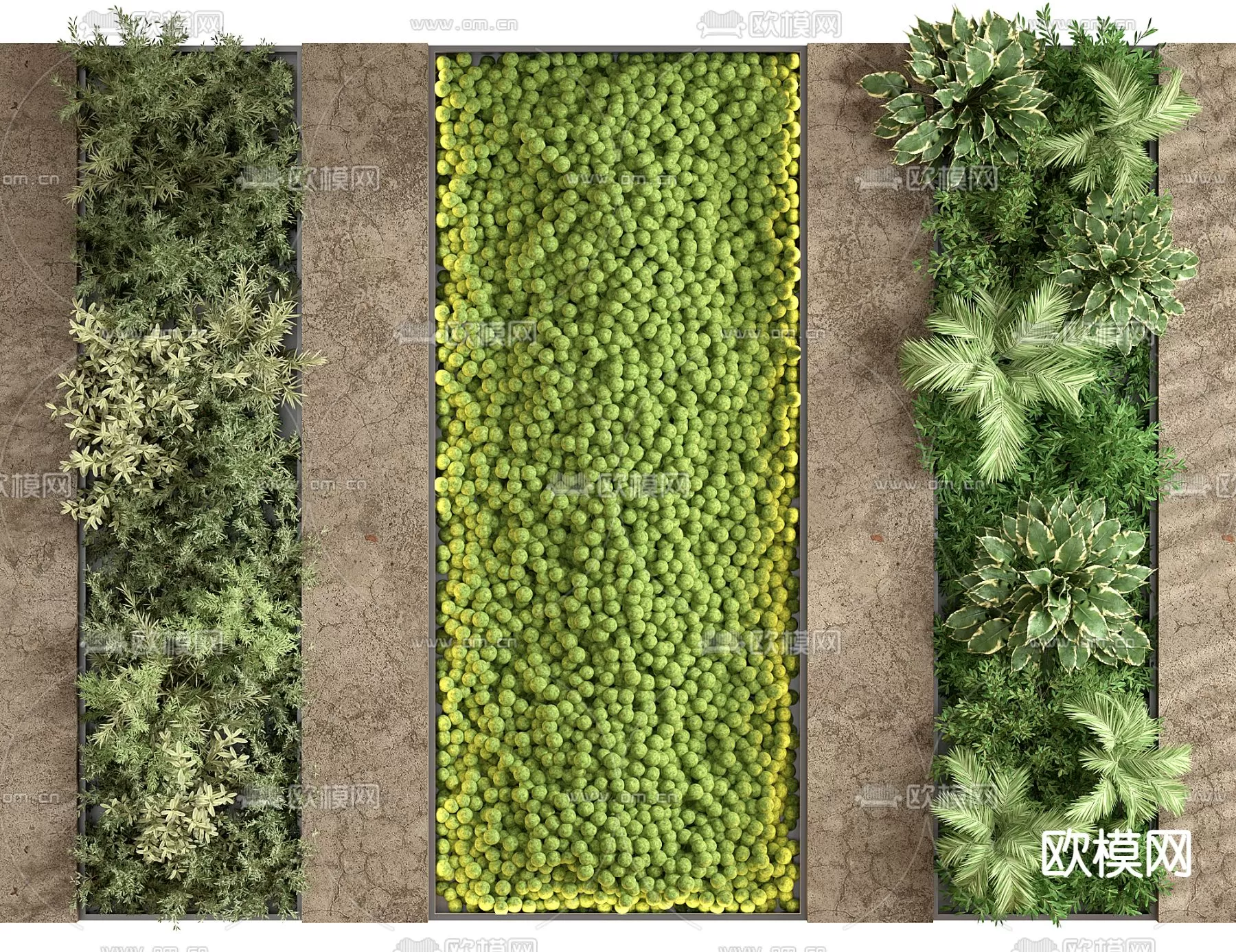 Plants and Flower – 3D Modesl – 0158