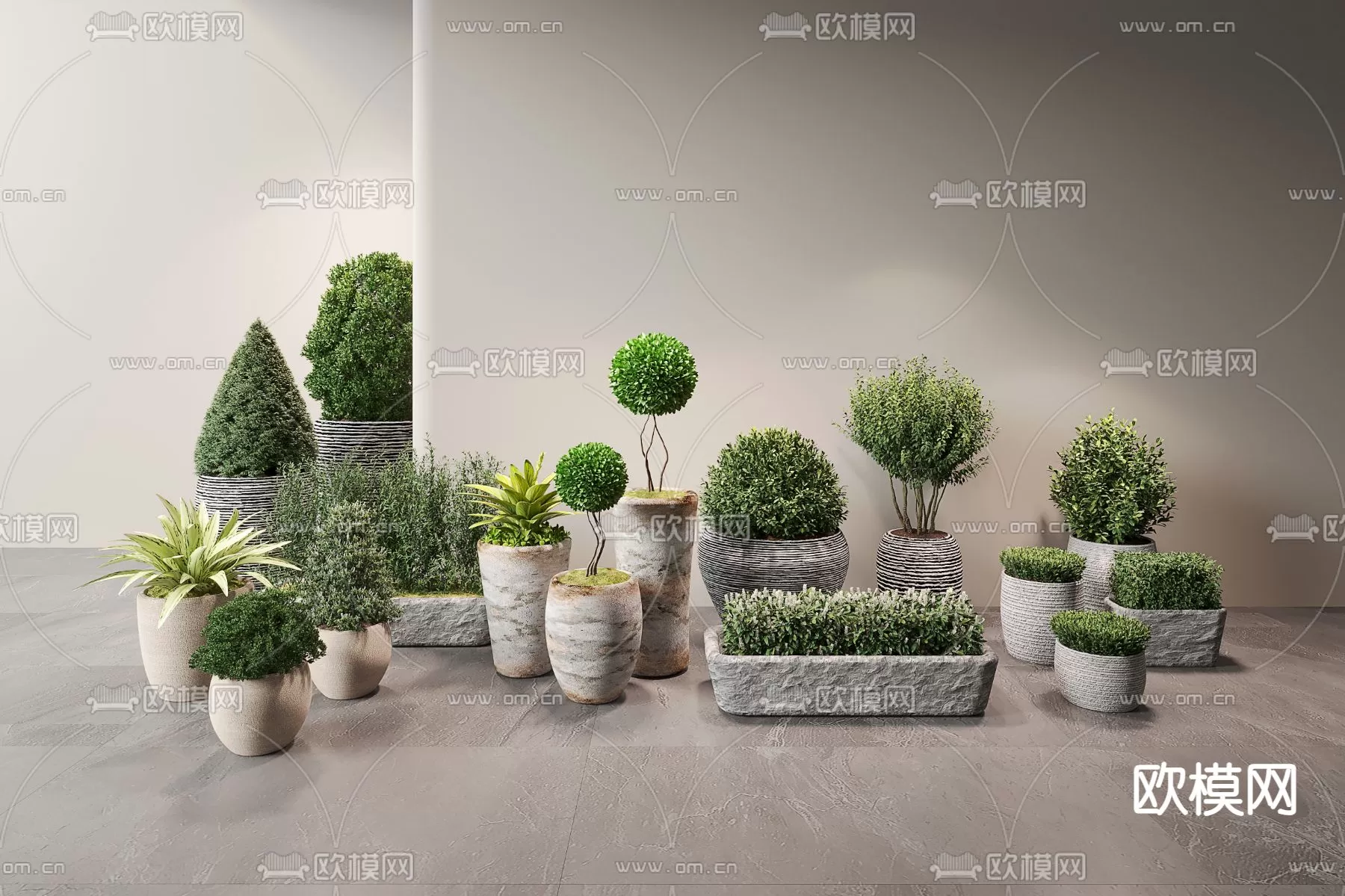 Plants and Flower – 3D Modesl – 0161