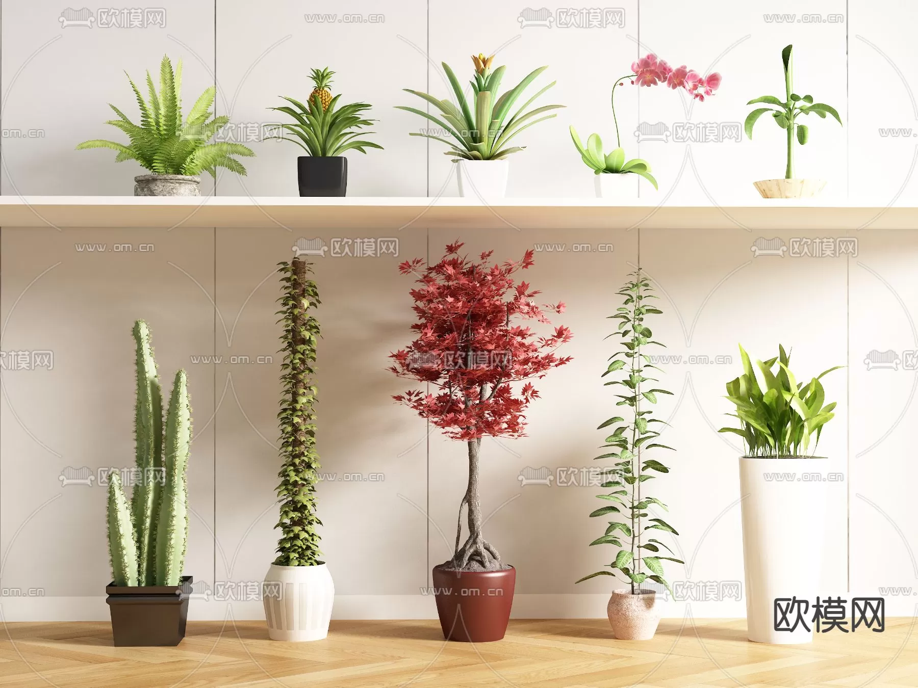 Plants and Flower – 3D Modesl – 0163