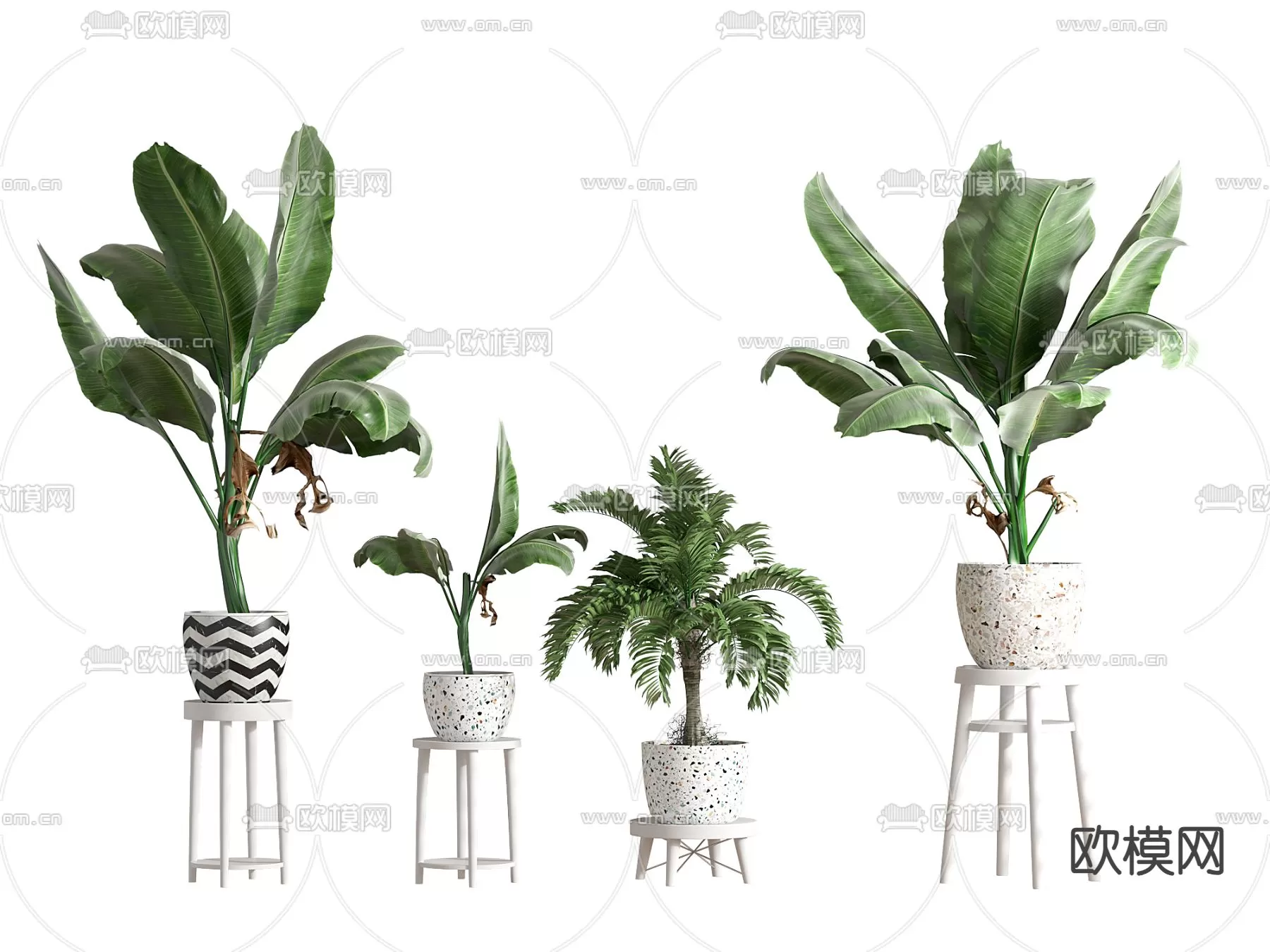 Plants and Flower – 3D Modesl – 0164