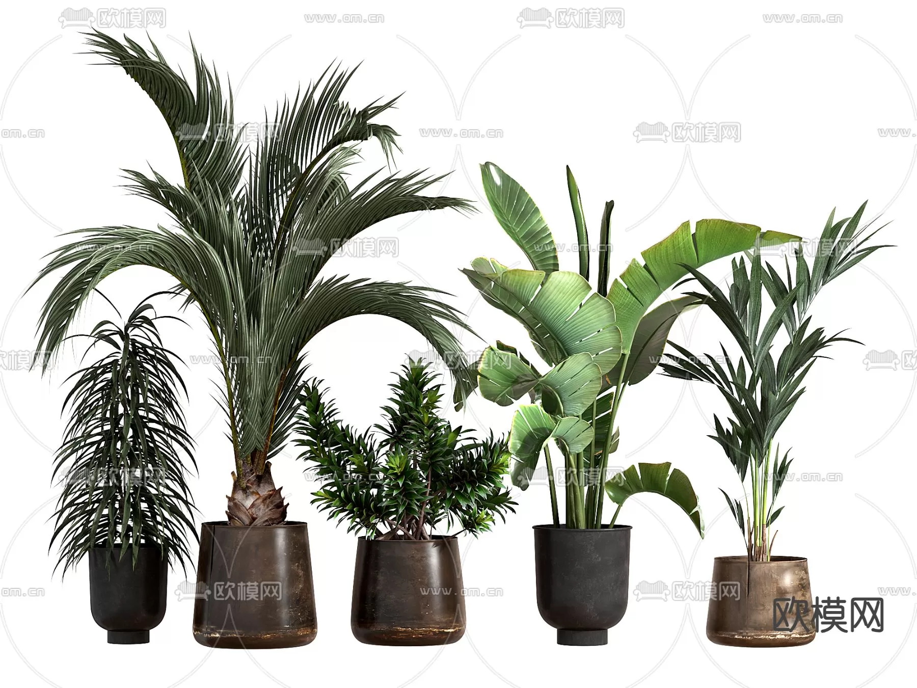 Plants and Flower – 3D Modesl – 0165