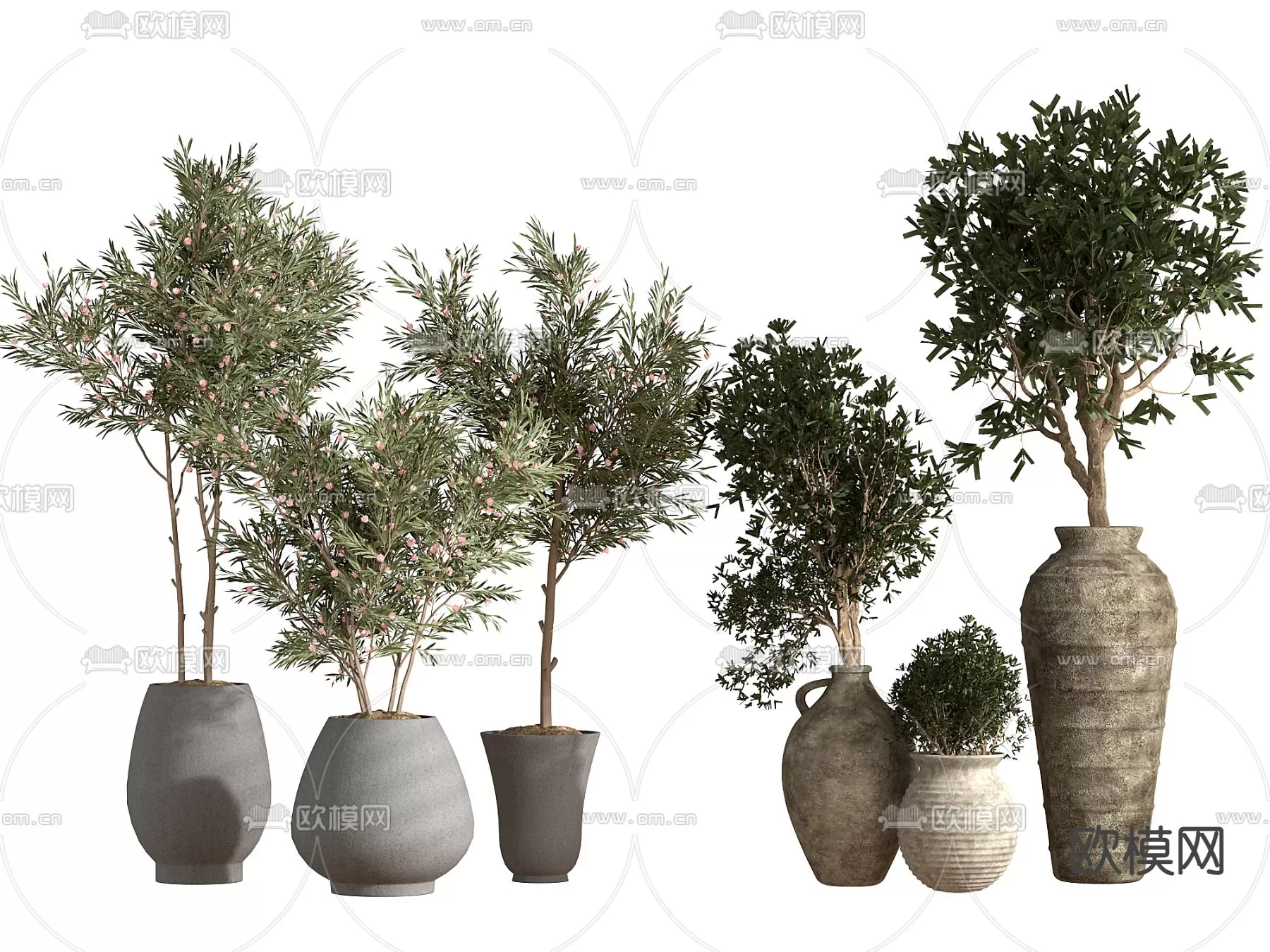 Plants and Flower – 3D Modesl – 0166