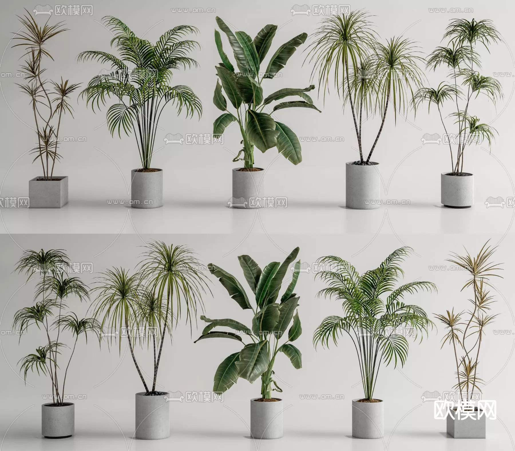 Plants and Flower – 3D Modesl – 0169