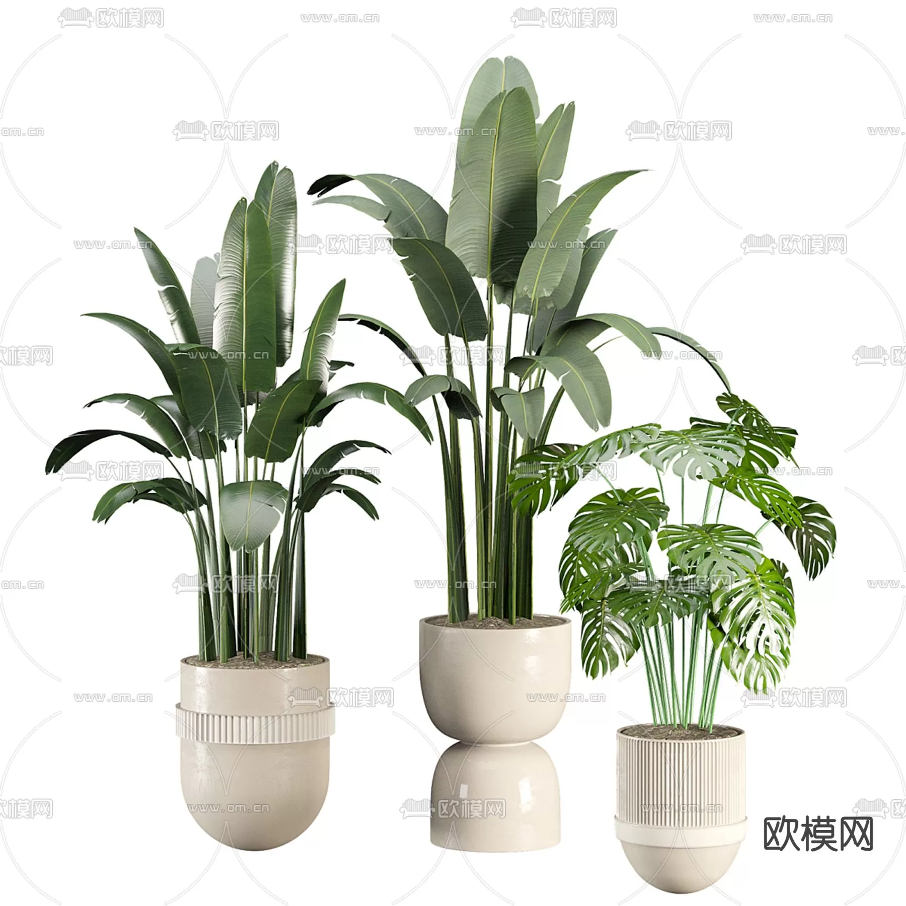 Plants and Flower – 3D Modesl – 0171