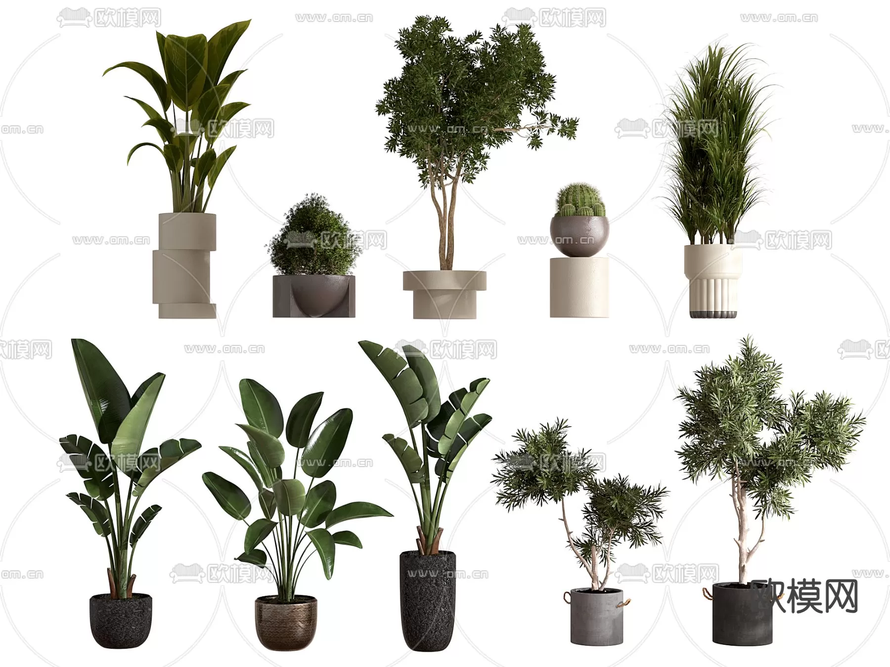 Plants and Flower – 3D Modesl – 0172