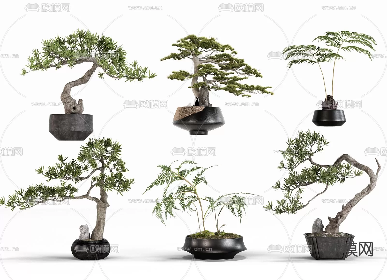 Plants and Flower – 3D Modesl – 0175