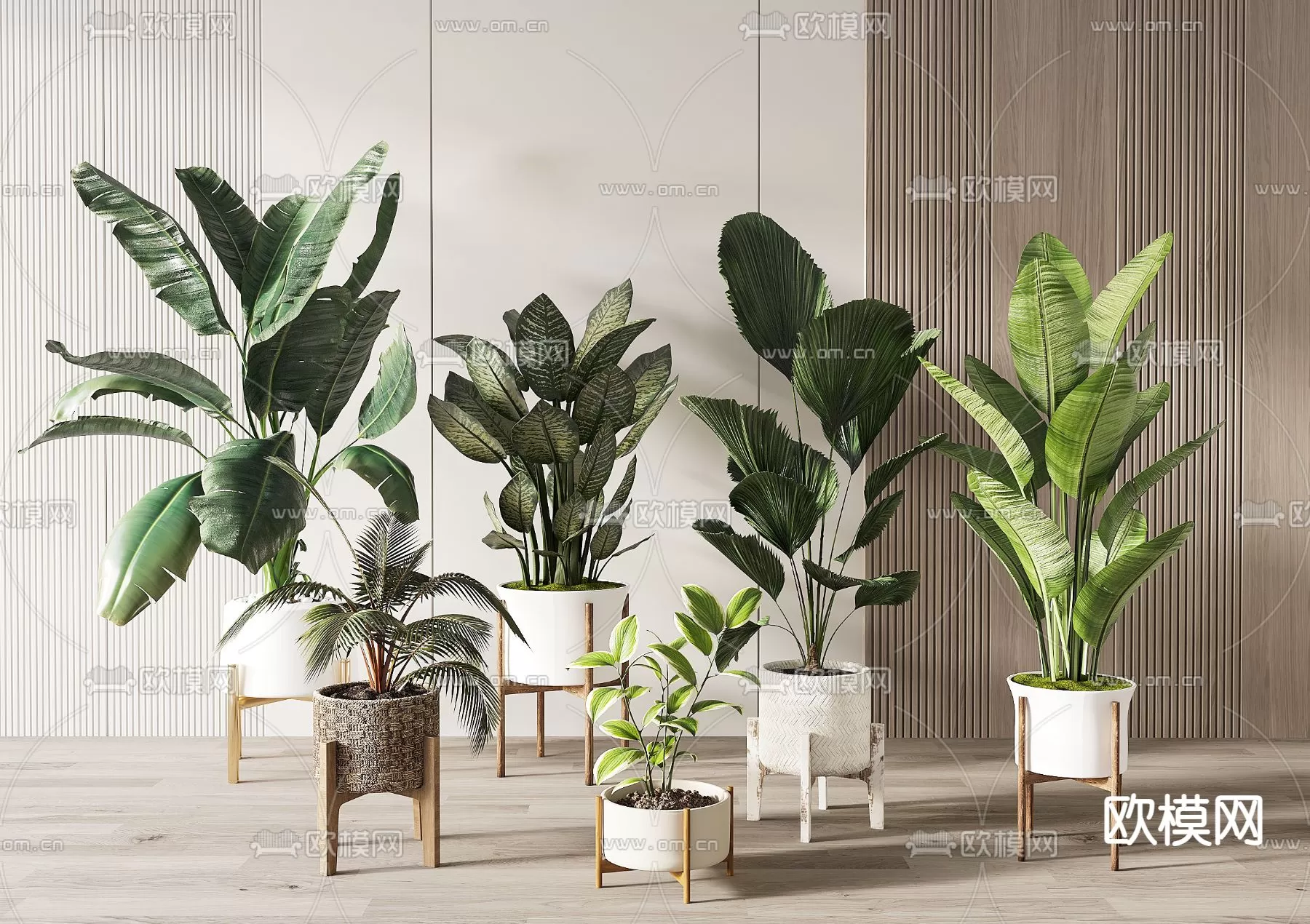 Plants and Flower – 3D Modesl – 0176