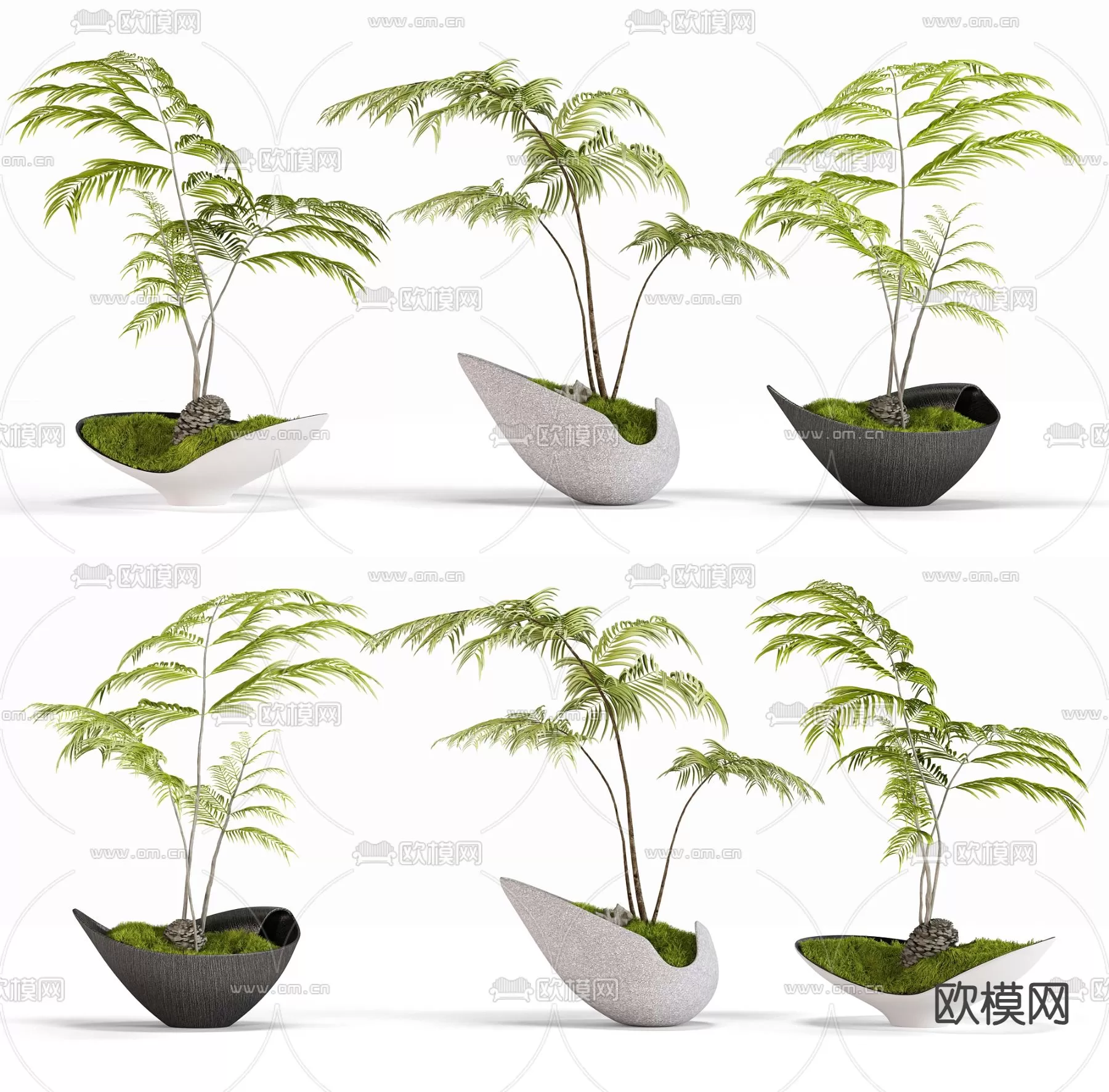 Plants and Flower – 3D Modesl – 0182