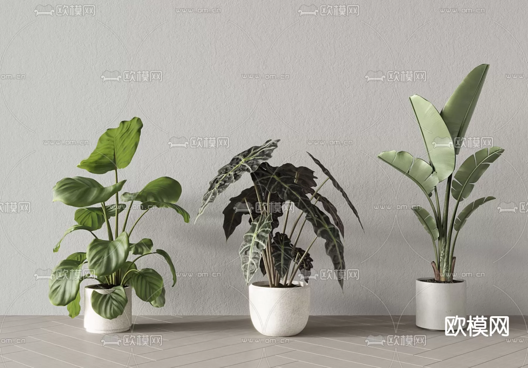 Plants and Flower – 3D Modesl – 0183