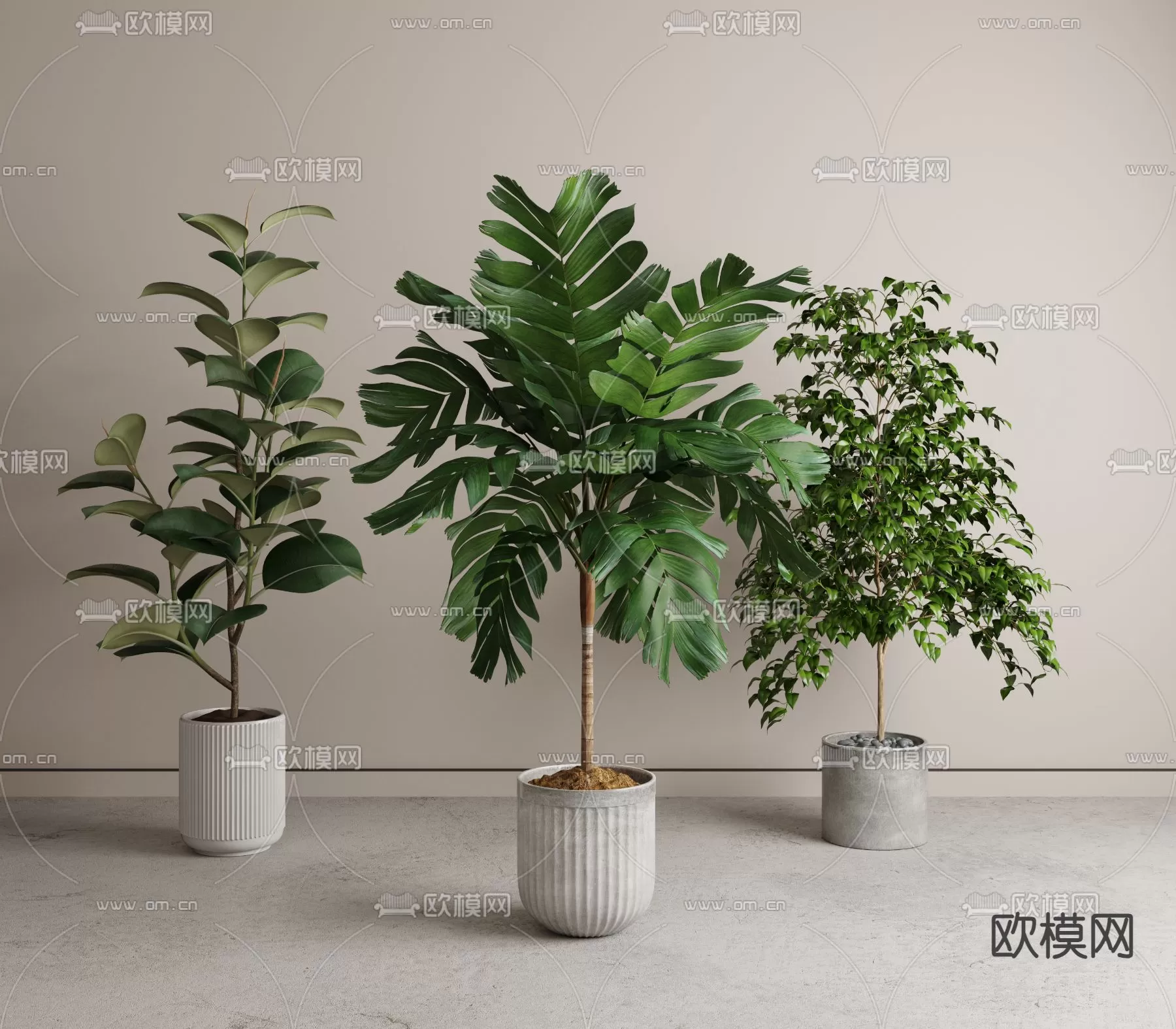 Plants and Flower – 3D Modesl – 0184