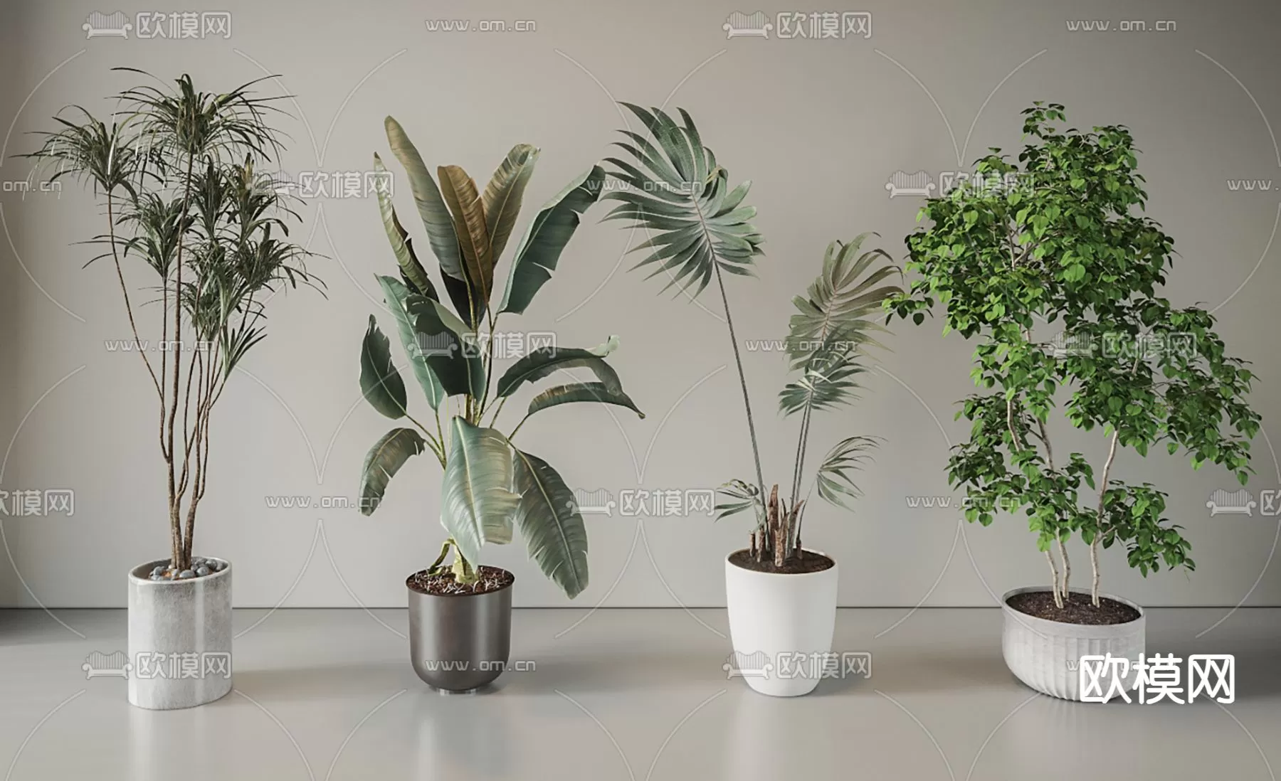 Plants and Flower – 3D Modesl – 0186